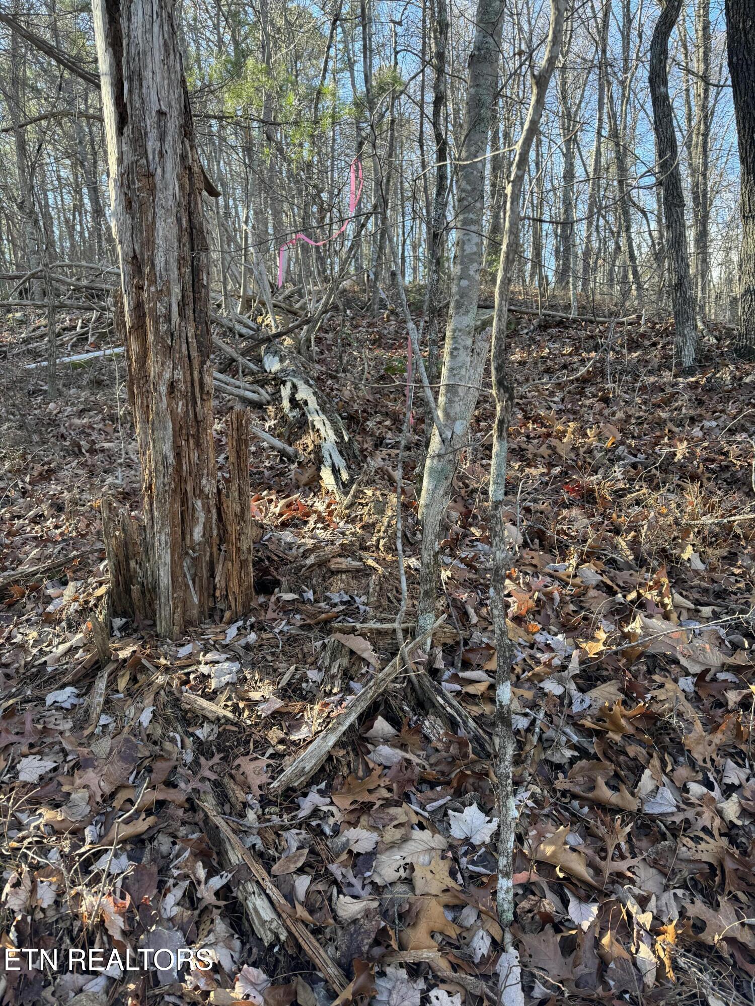 6838 Flats Road Tallassee TN 37878