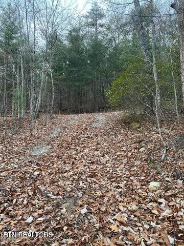 6838 Flats Road Tallassee TN 37878