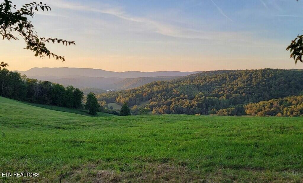 420 Walker Road Sharps Chapel TN 37866
