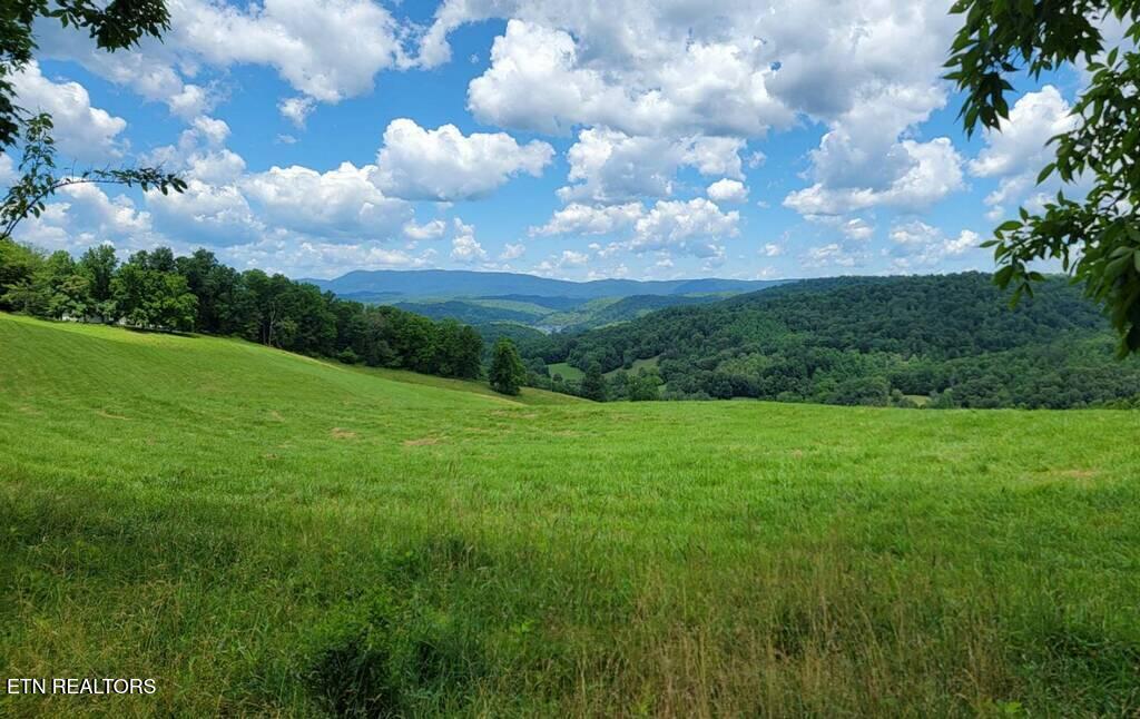 420 Walker Road Sharps Chapel TN 37866