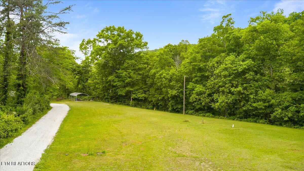 341 Lovely Bluff Road Rocky Top TN 37769