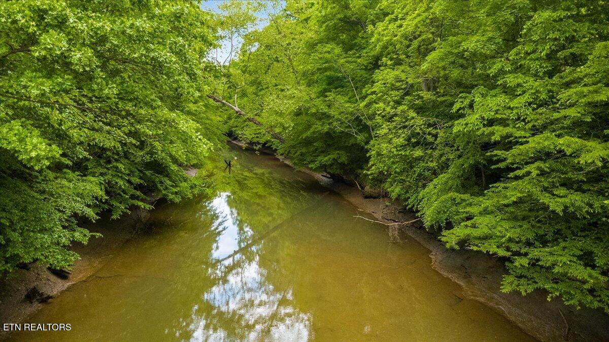 341 Lovely Bluff Road Rocky Top TN 37769