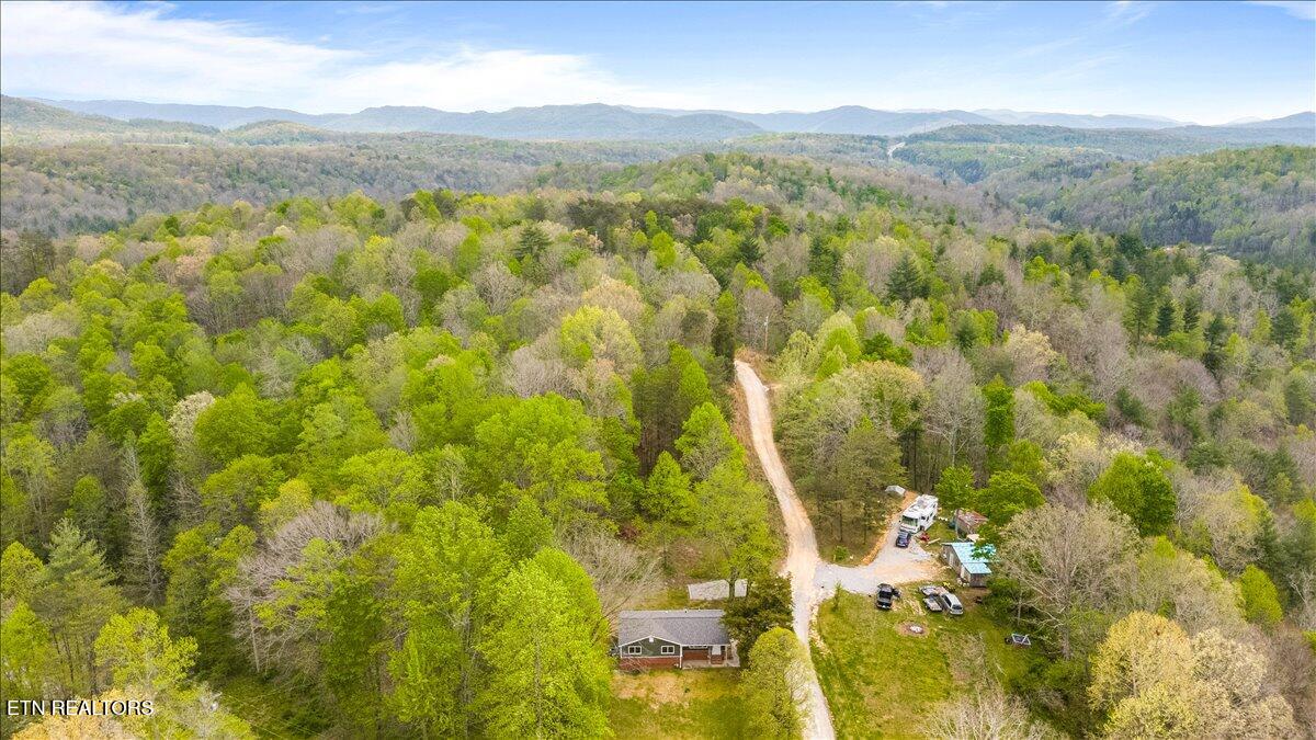 341 Lovely Bluff Road Rocky Top TN 37769