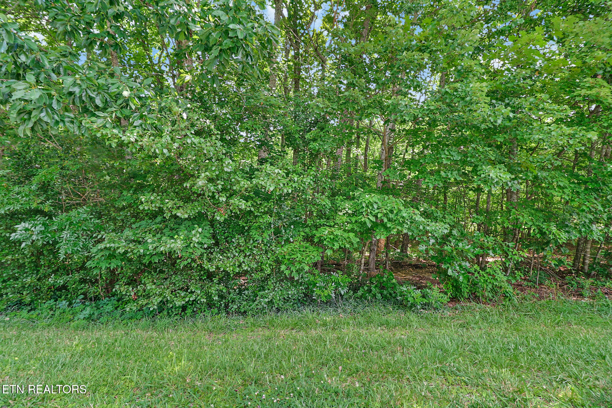 Stonewood Drive Fairfield Glade TN 38558
