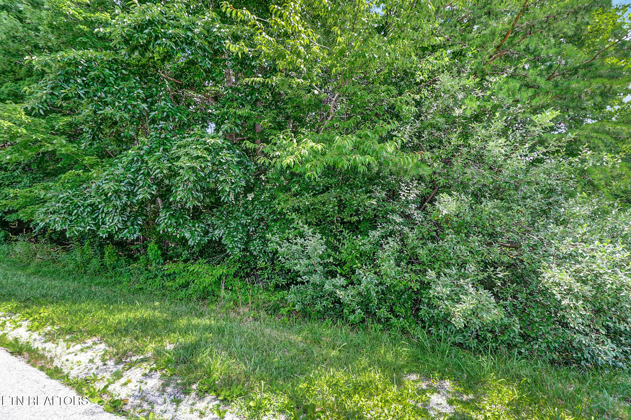 Stonewood Drive Fairfield Glade TN 38558