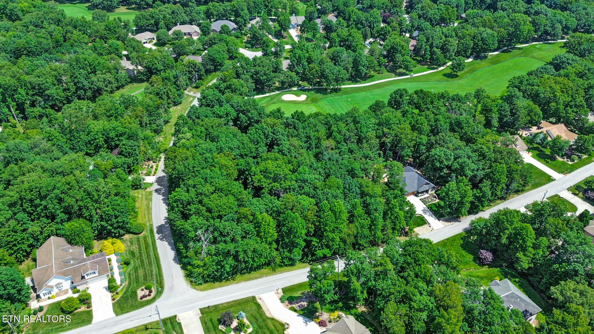 Stonewood Drive Fairfield Glade TN 38558