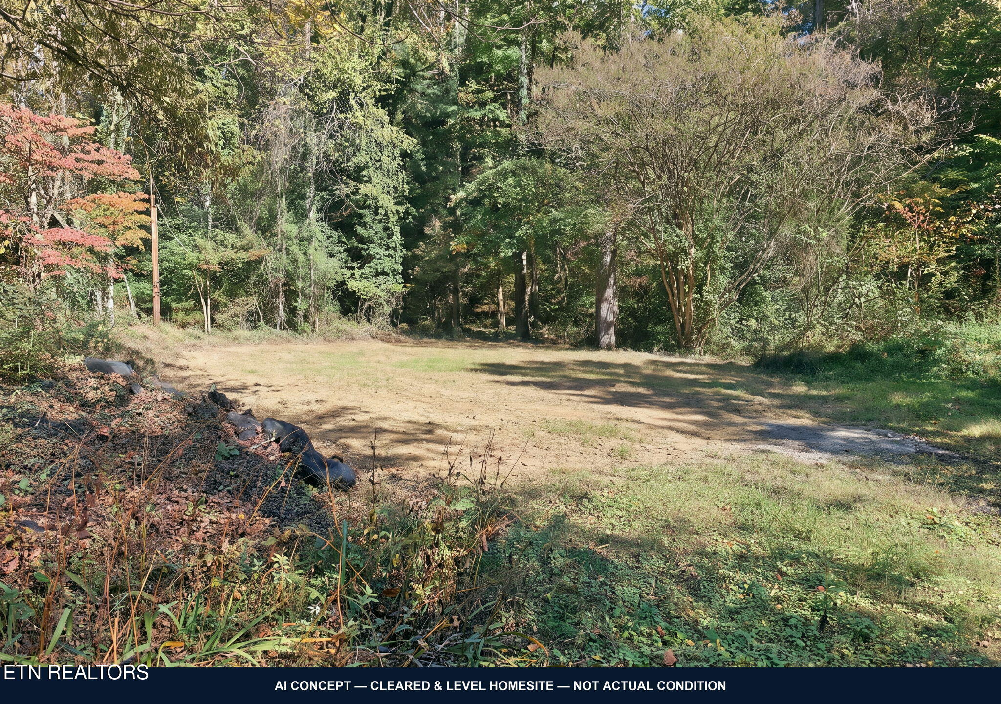 911 Coward Road Clinton TN 37716