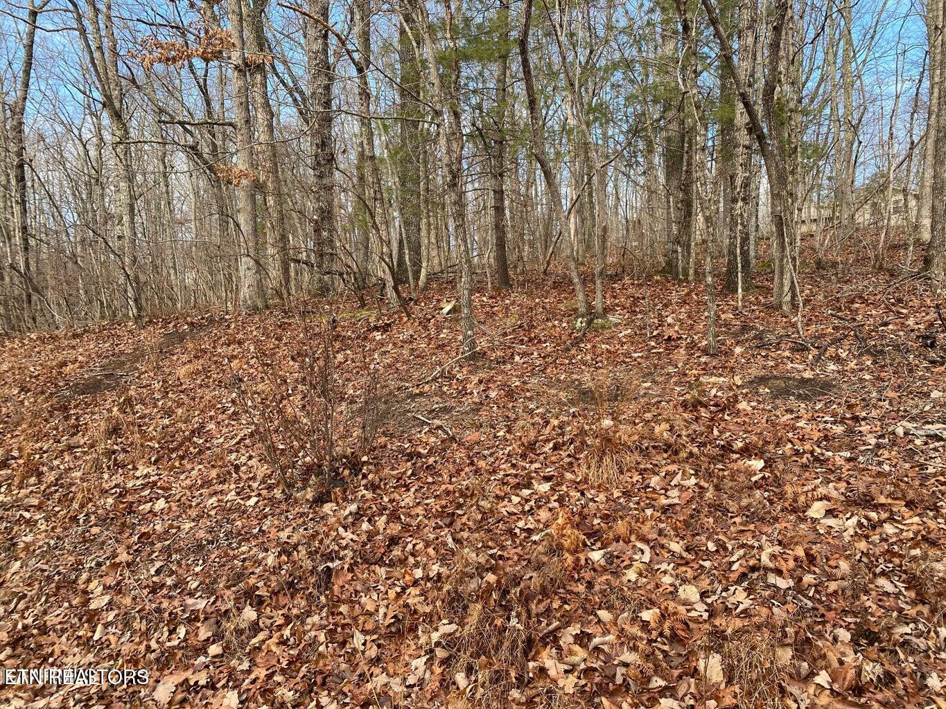 116 Overlook Cove Crossville TN 38558