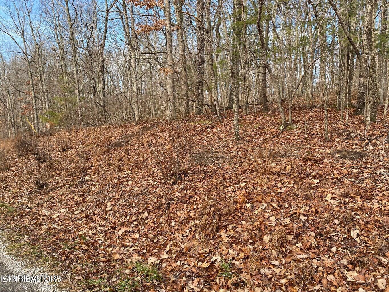 116 Overlook Cove Crossville TN 38558