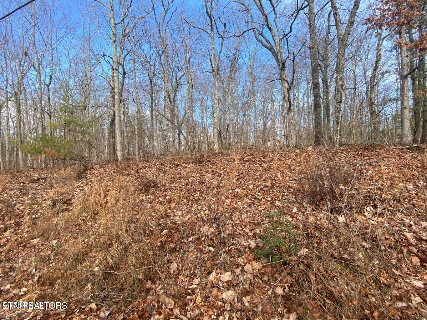 116 Overlook Cove Crossville TN 38558