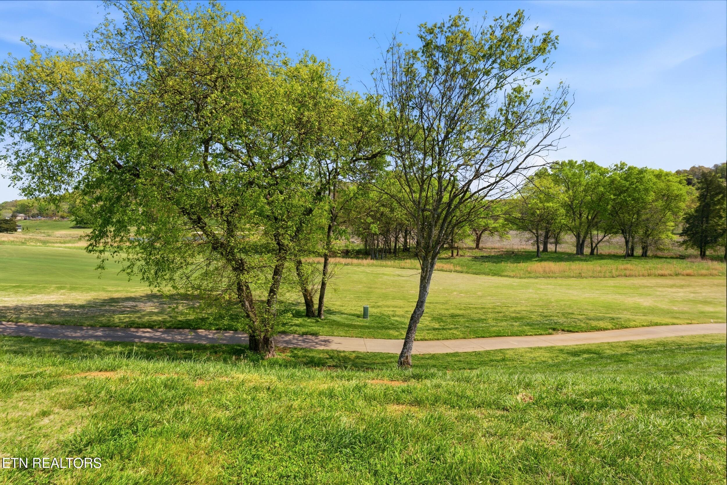 595 Bobcat Run Drive Loudon TN 37774