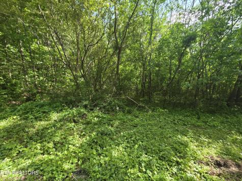 Cemetery Road Caryville TN 37714