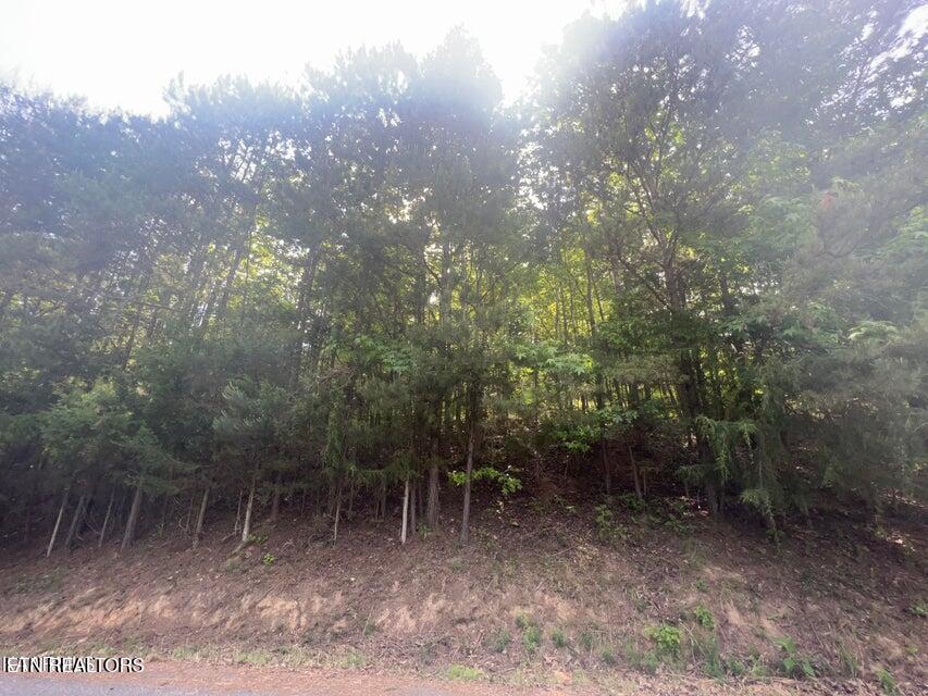 123 Hilty Head Lane Lafollette TN 37766