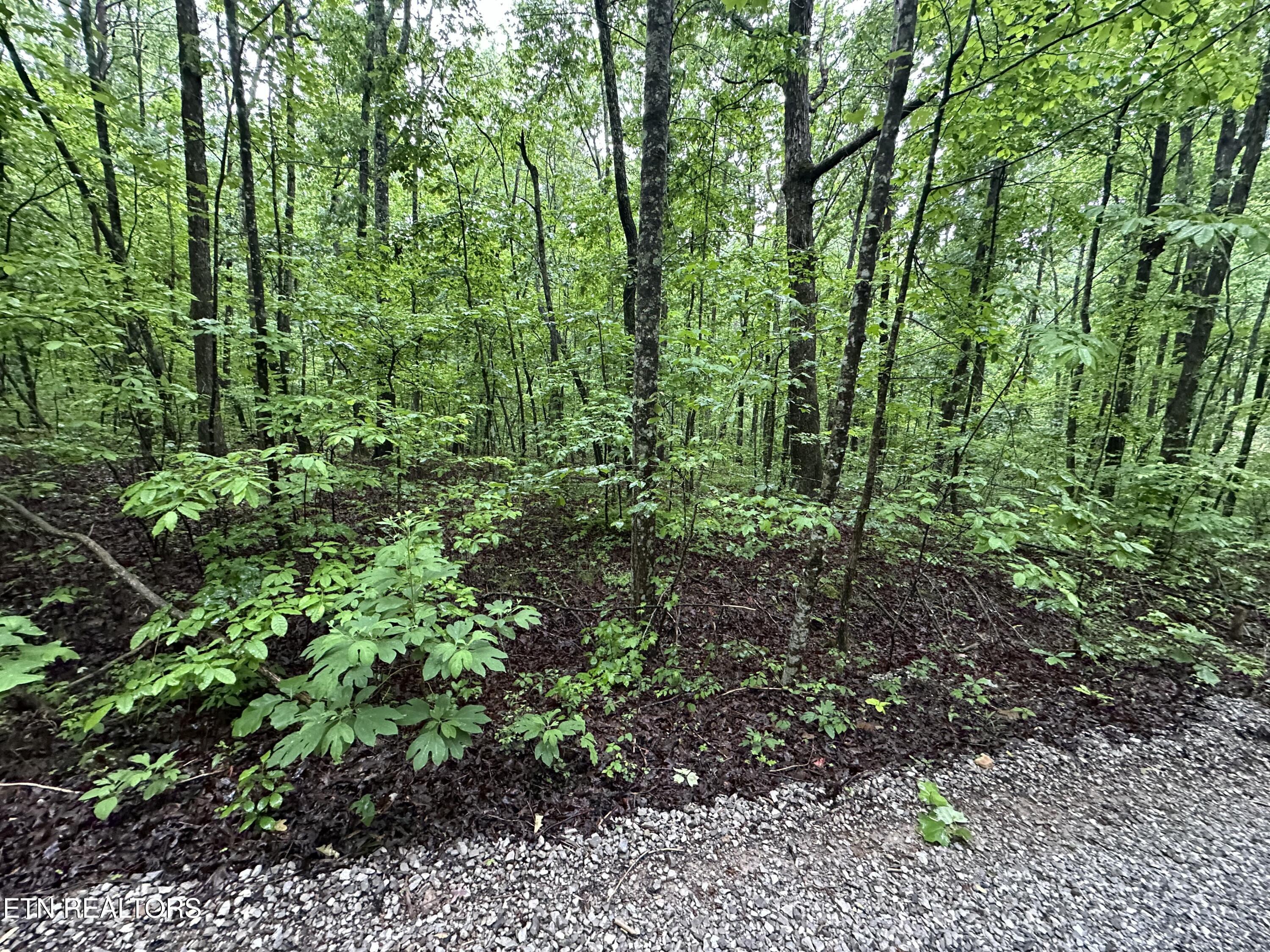 Westwind Road Crossville TN 38572