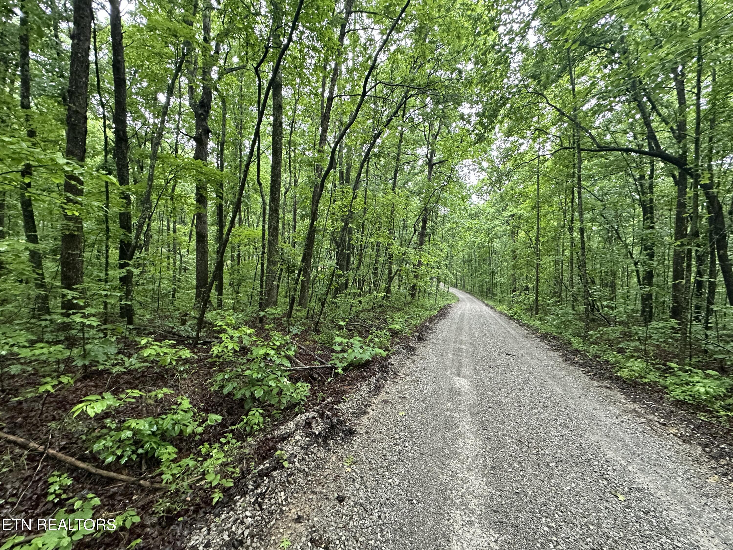 Westwind Road Crossville TN 38572