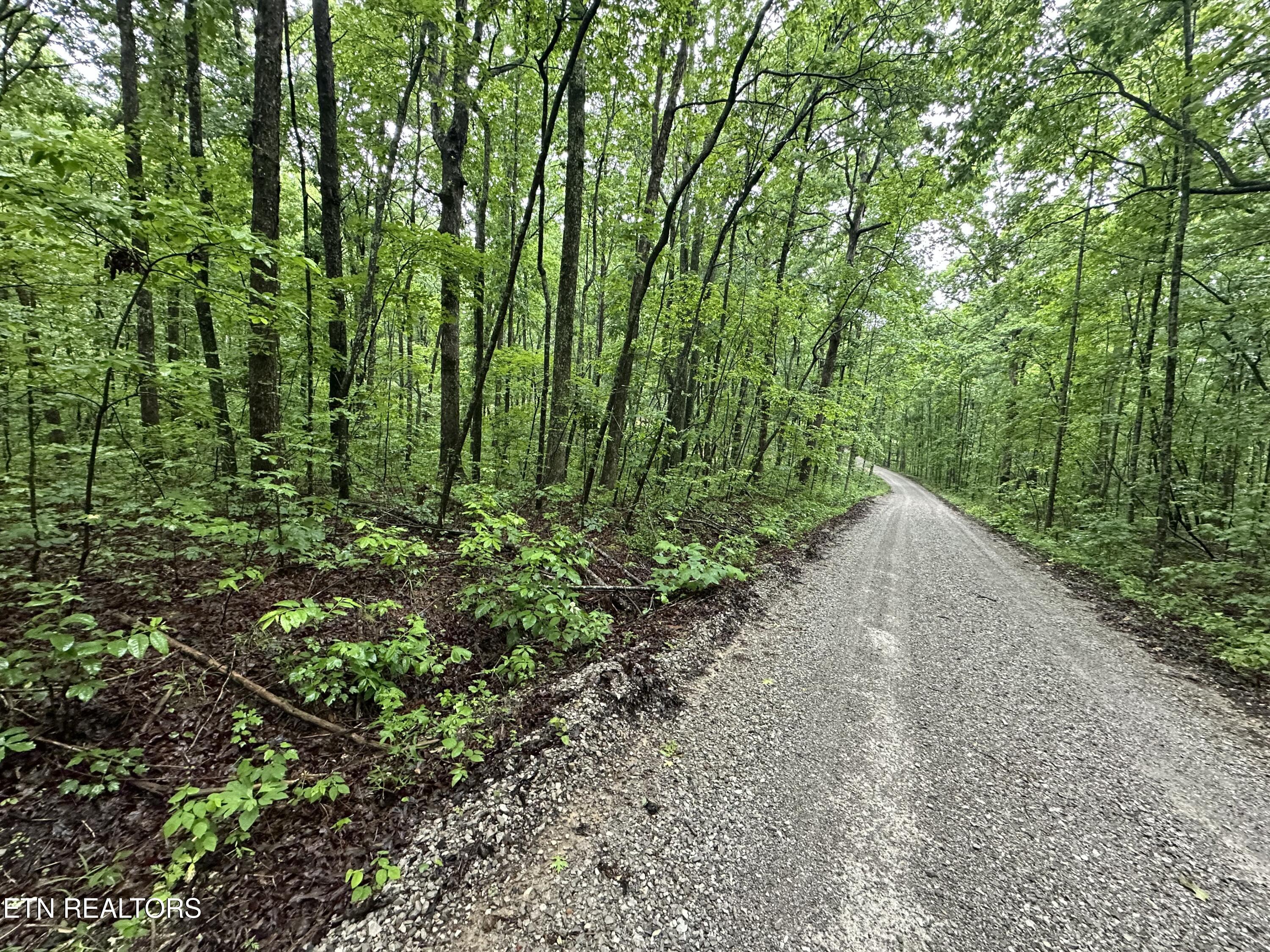 Westwind Road Crossville TN 38572