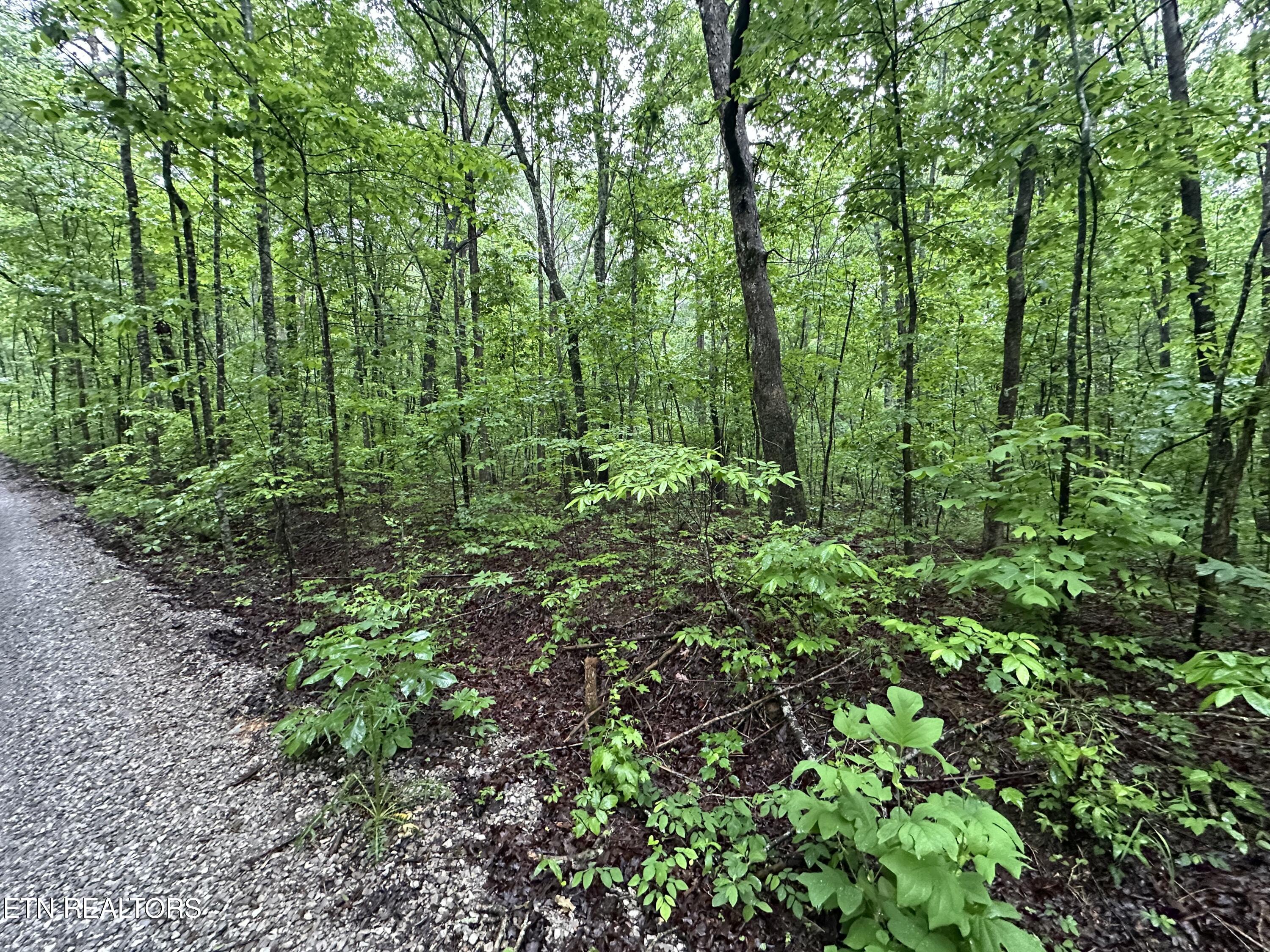 Westwind Road Crossville TN 38572