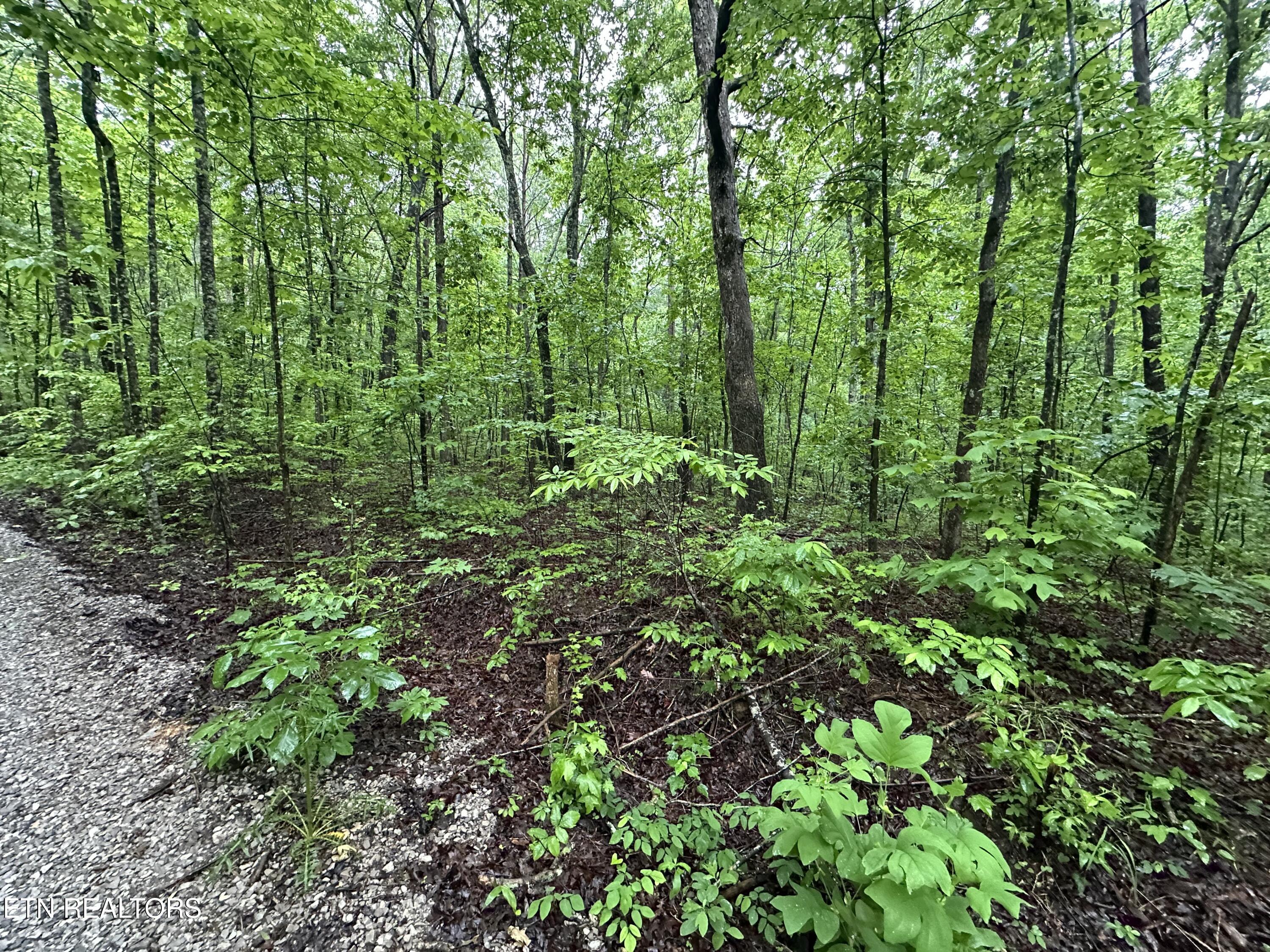 Westwind Road Crossville TN 38572
