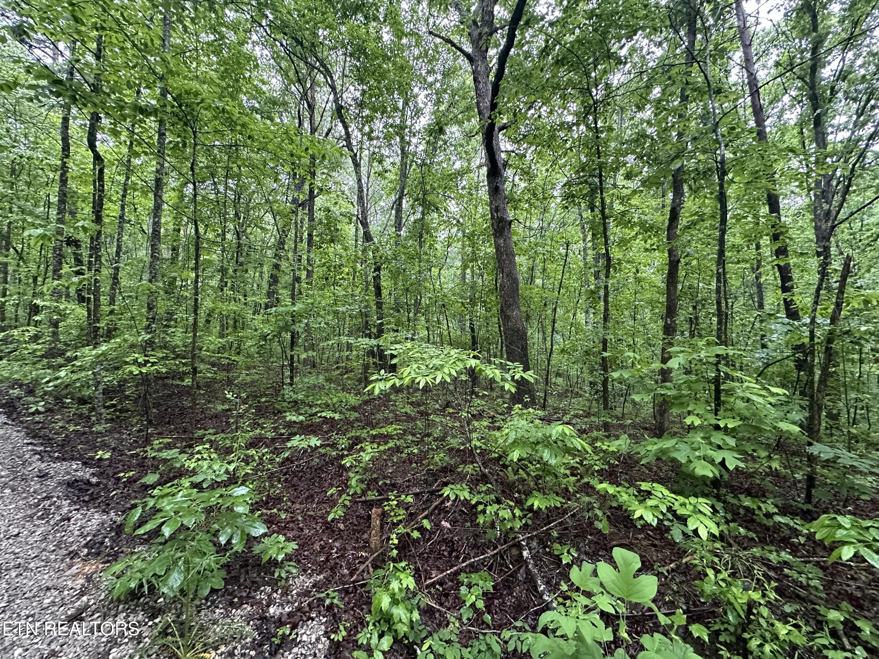Westwind Road Crossville TN 38572