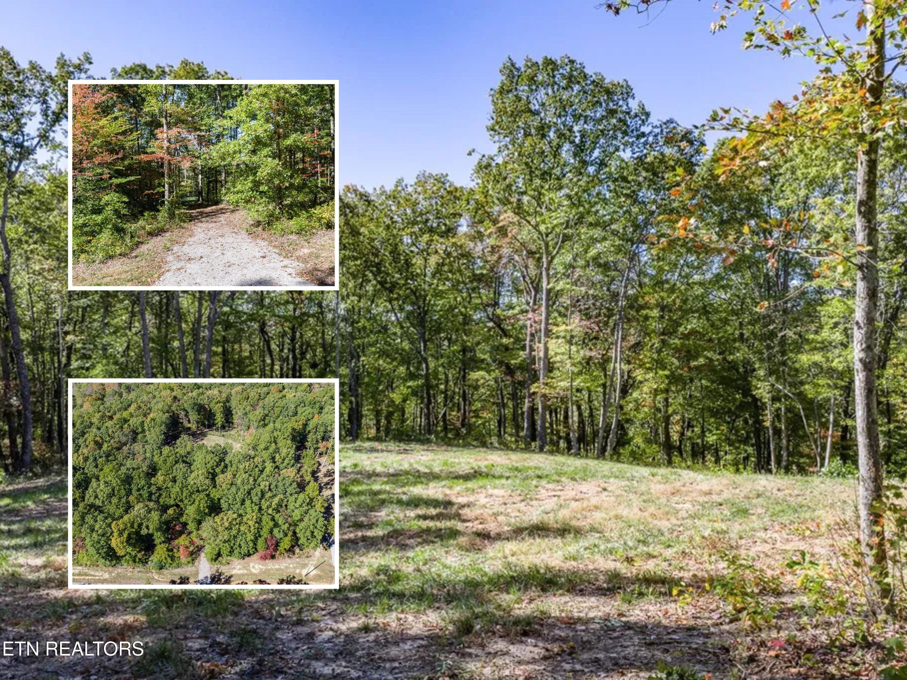 634 Cumberland Cove Road Monterey TN 38574