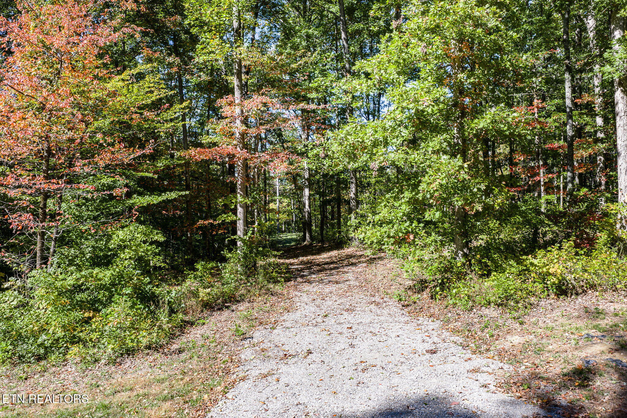 634 Cumberland Cove Road Monterey TN 38574