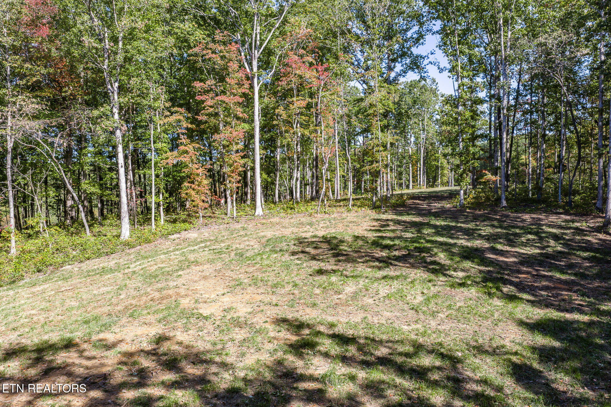634 Cumberland Cove Road Monterey TN 38574
