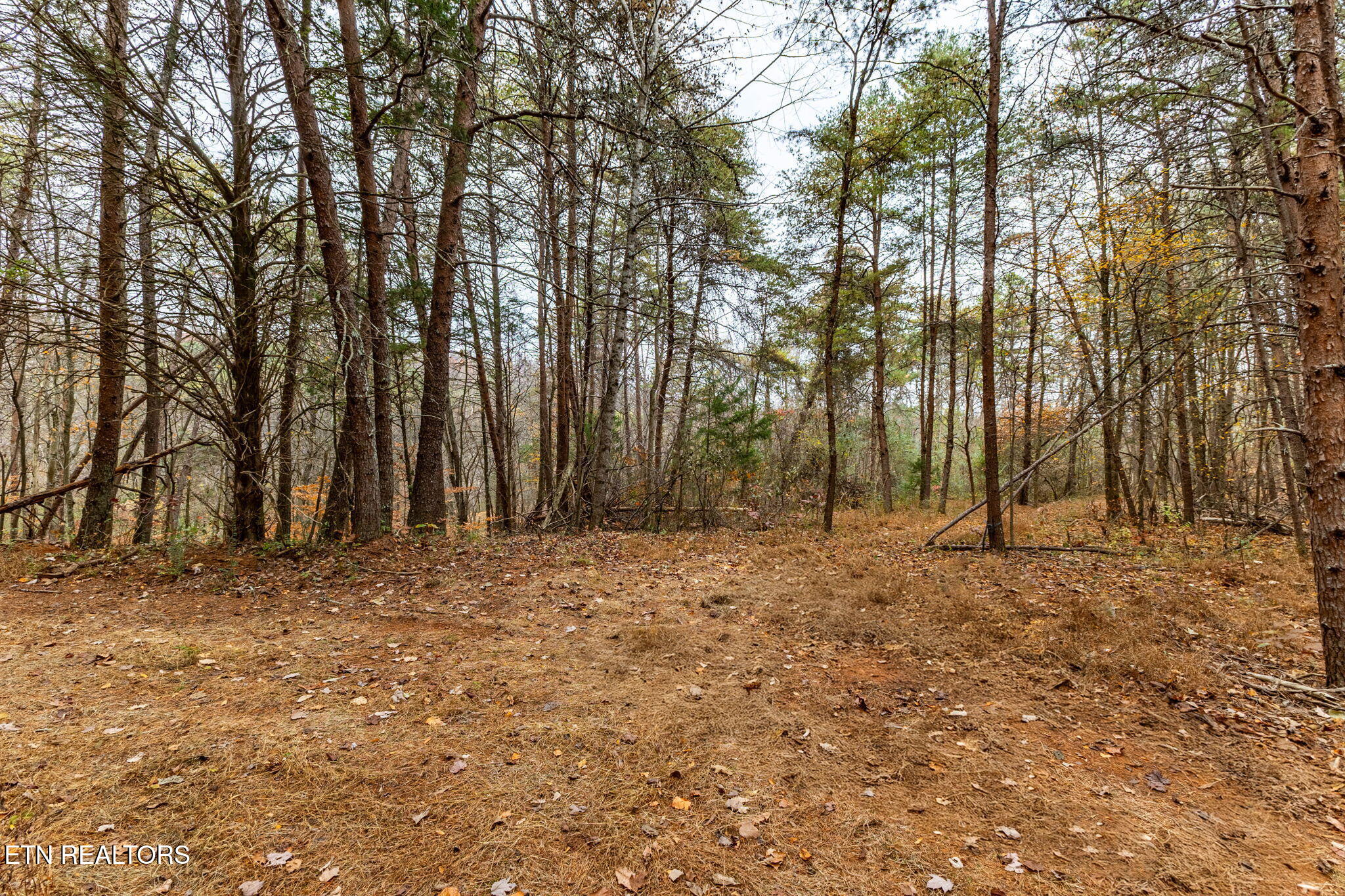 4231 Sweetwater Vonore Road Sweetwater TN 37874