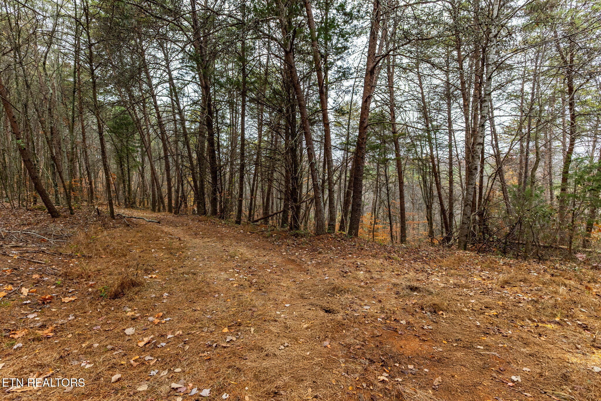 4231 Sweetwater Vonore Road Sweetwater TN 37874