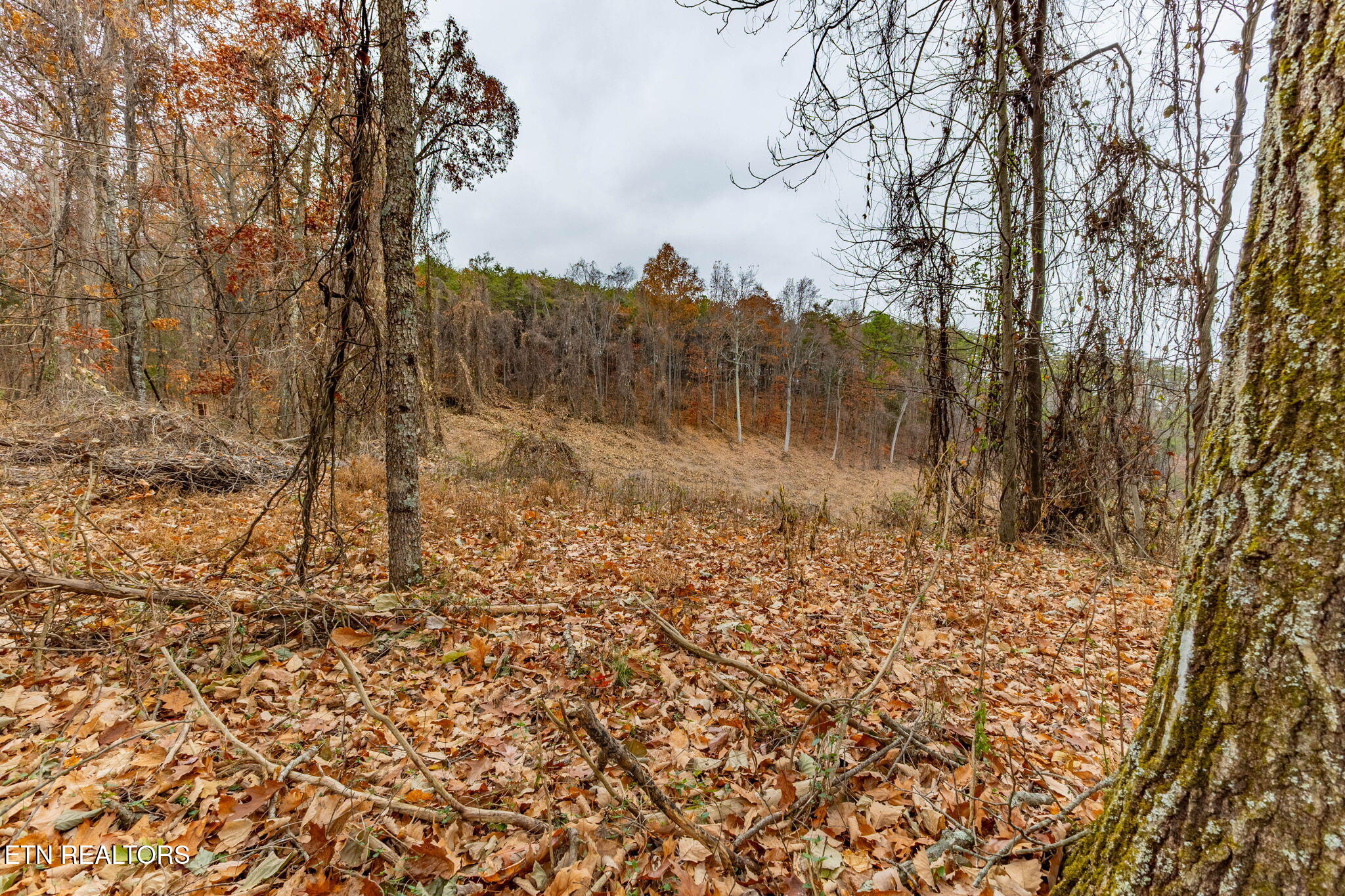 4231 Sweetwater Vonore Road Sweetwater TN 37874