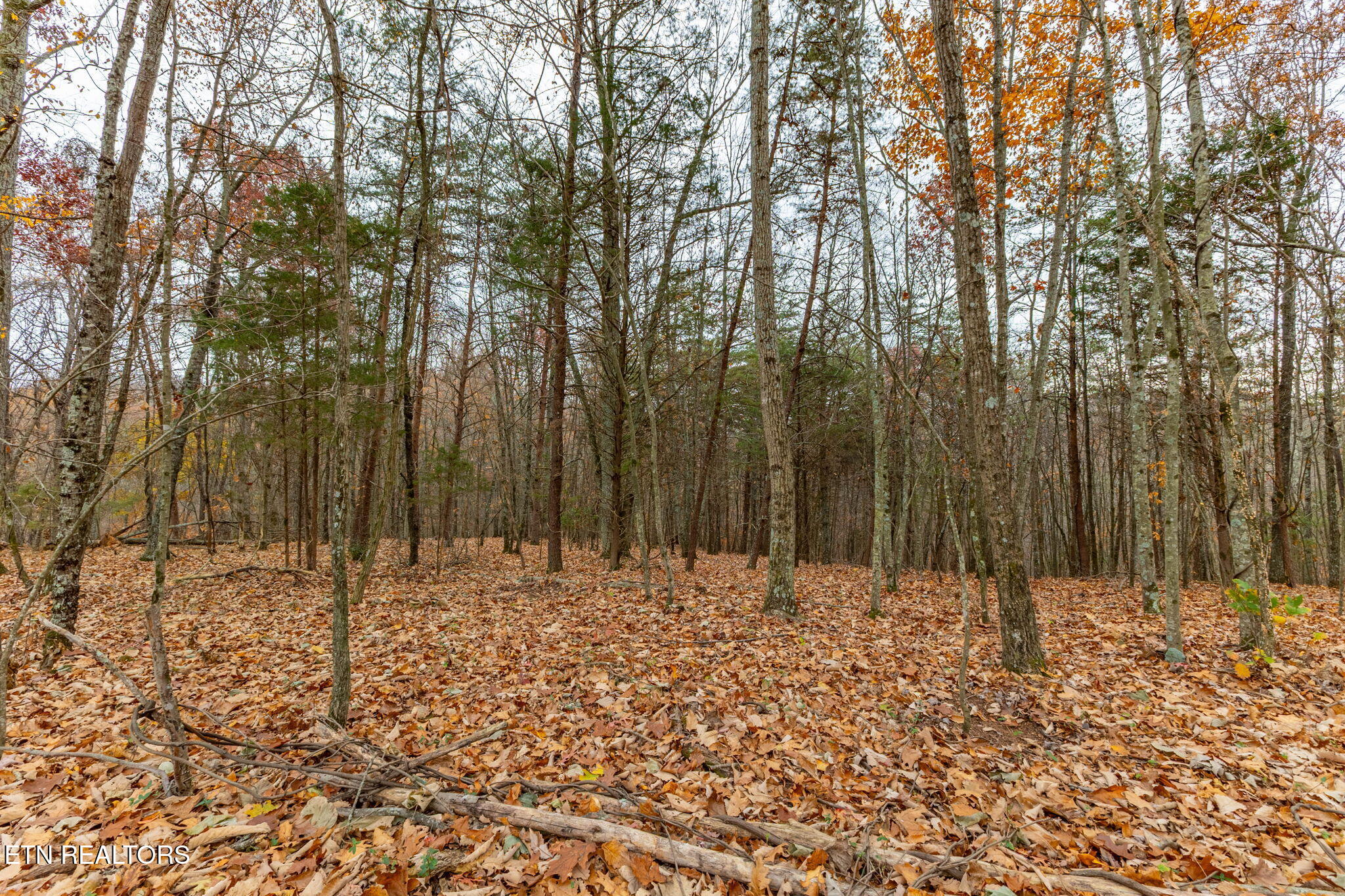 4231 Sweetwater Vonore Road Sweetwater TN 37874