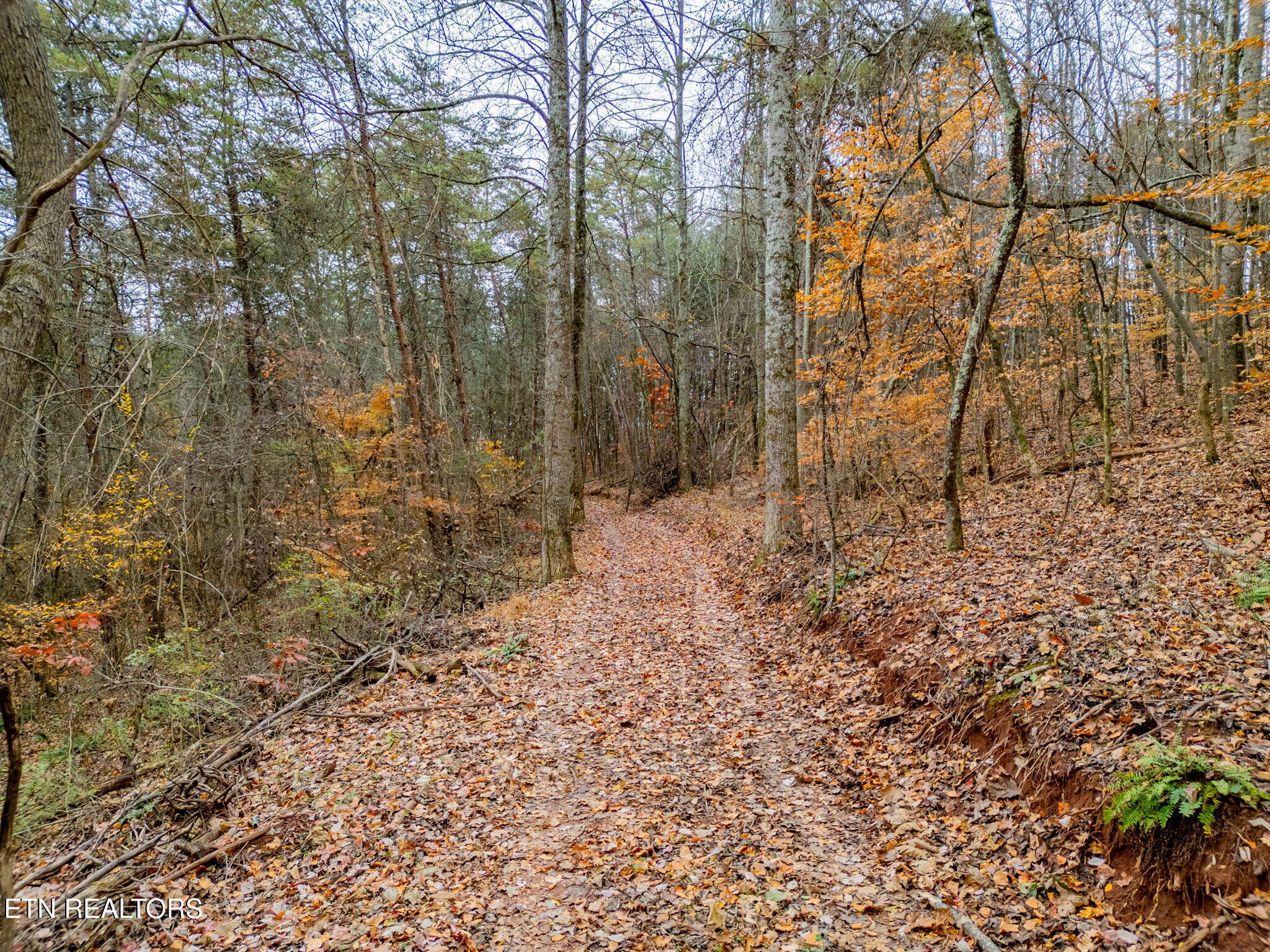 4231 Sweetwater Vonore Road Sweetwater TN 37874