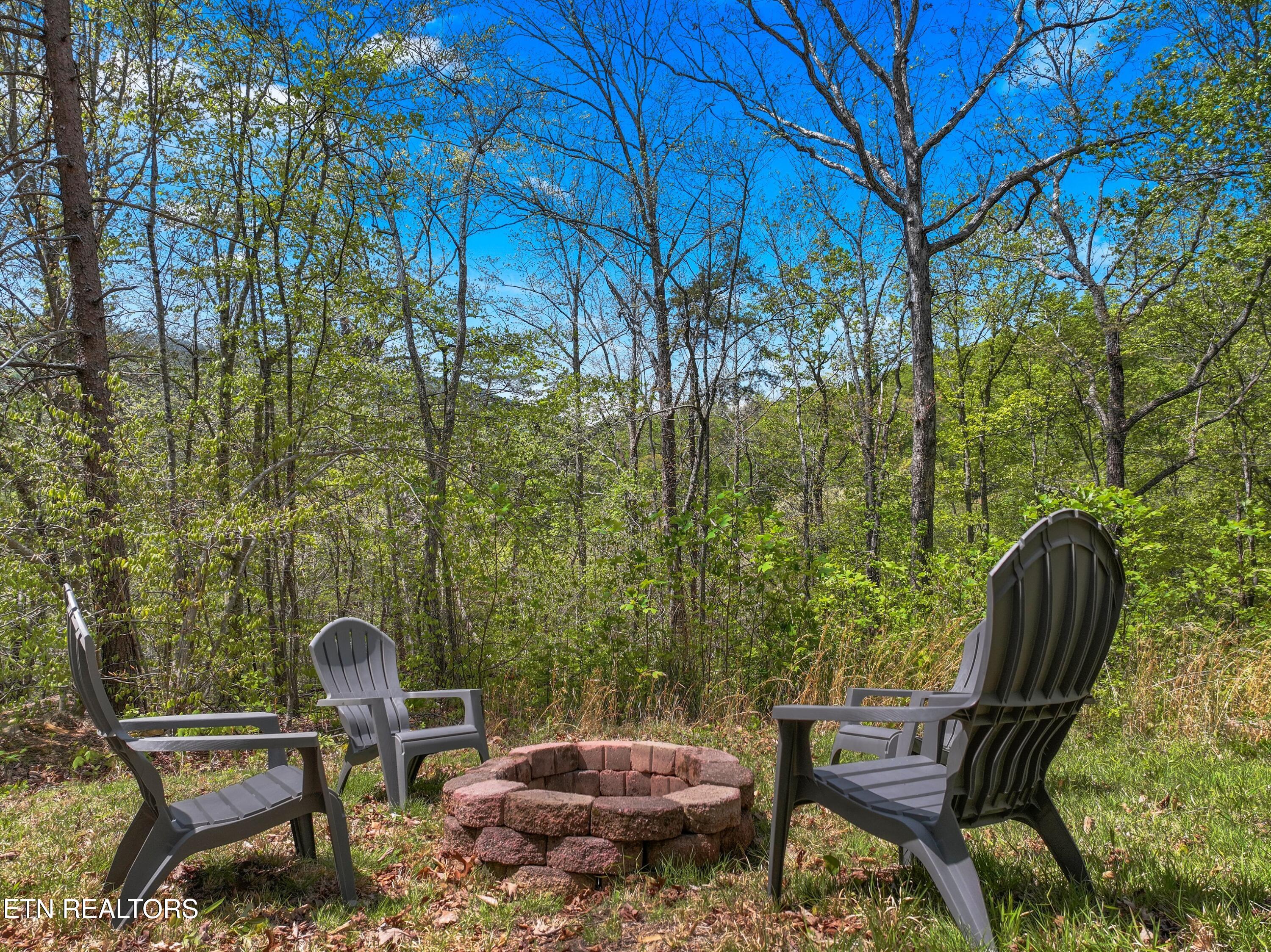Douglas Drive Sneedville TN 37869
