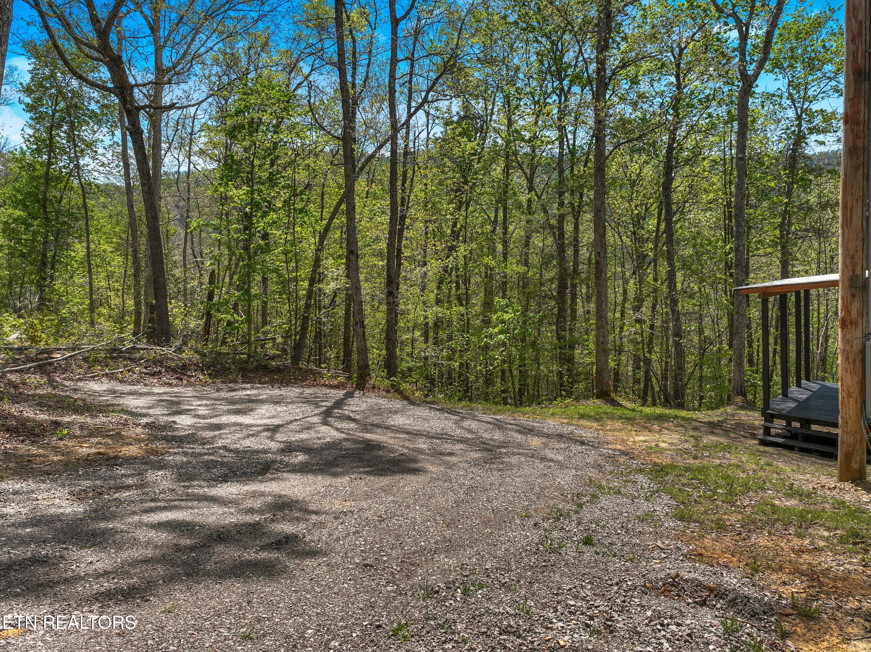 Douglas Drive Sneedville TN 37869