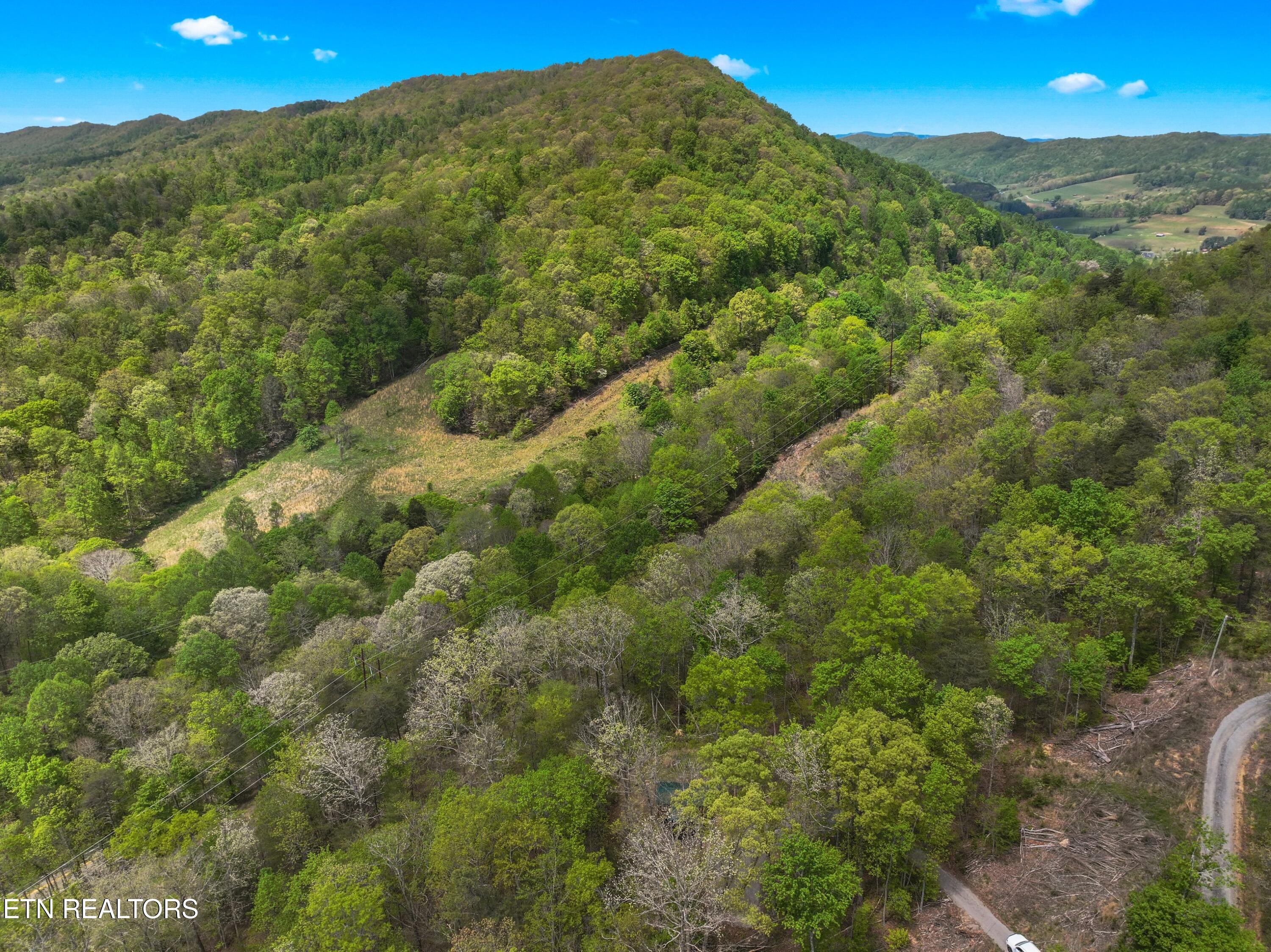 Douglas Drive Sneedville TN 37869