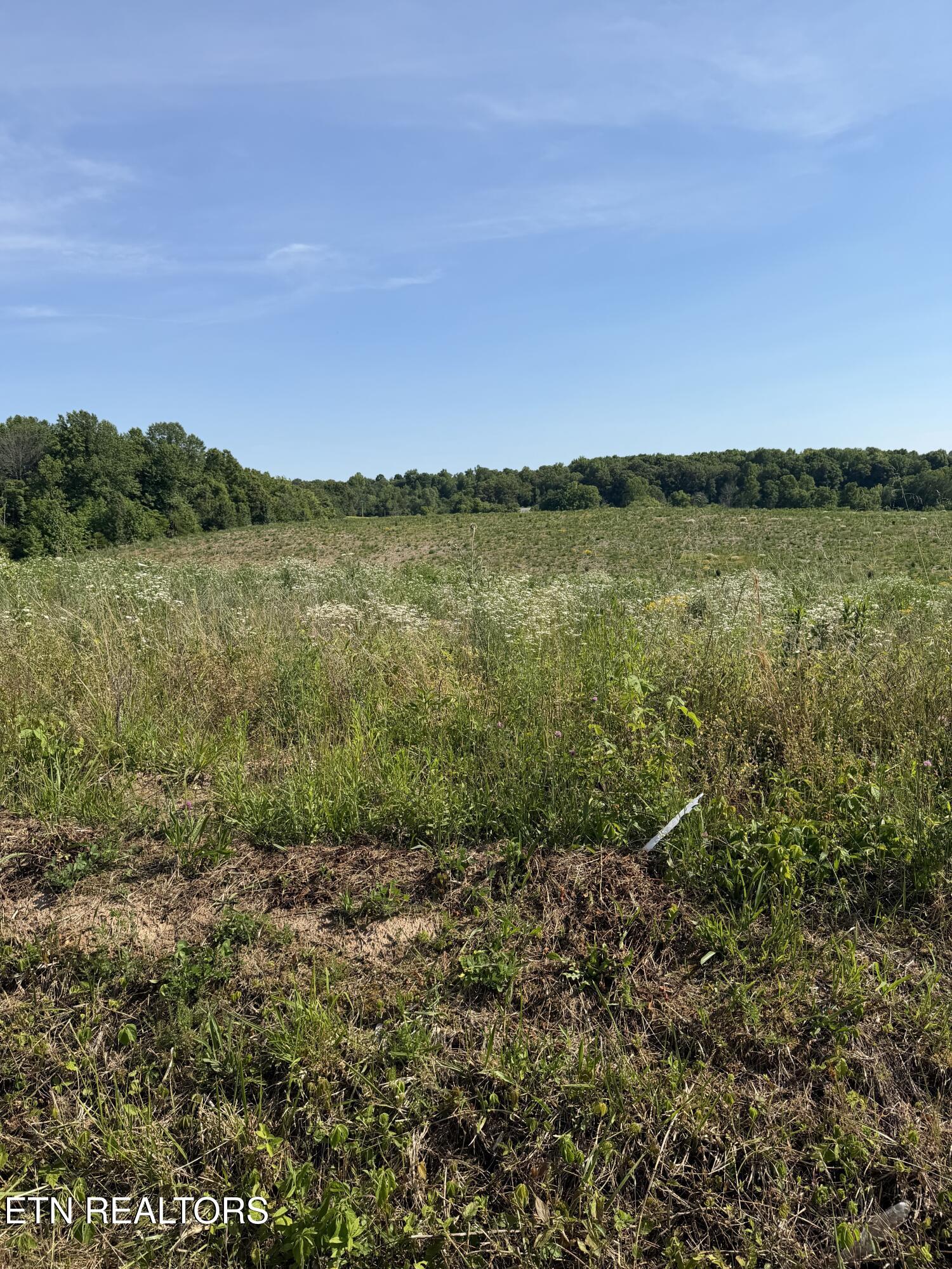12C Petty Road Sparta TN 38583