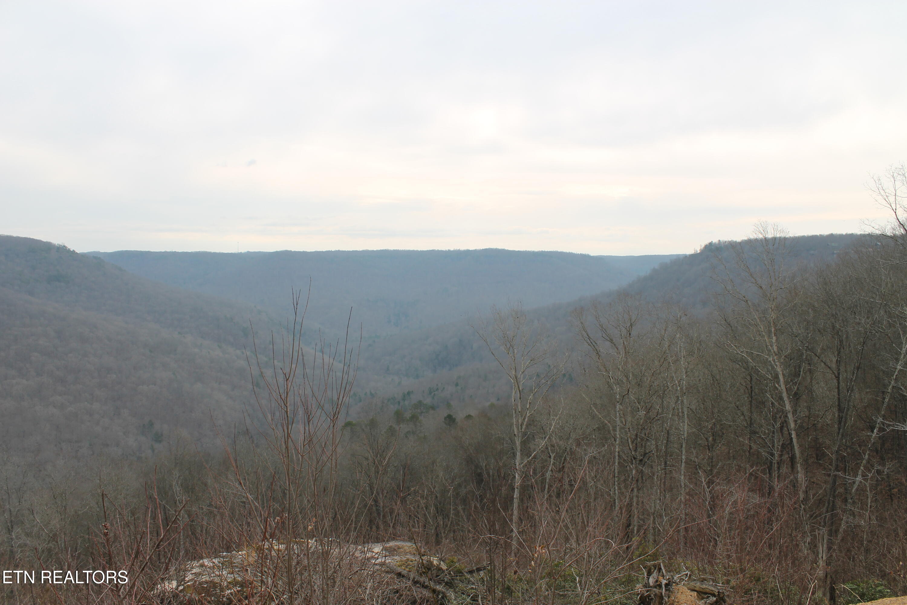 E Bobcat Lane Jamestown TN 38556