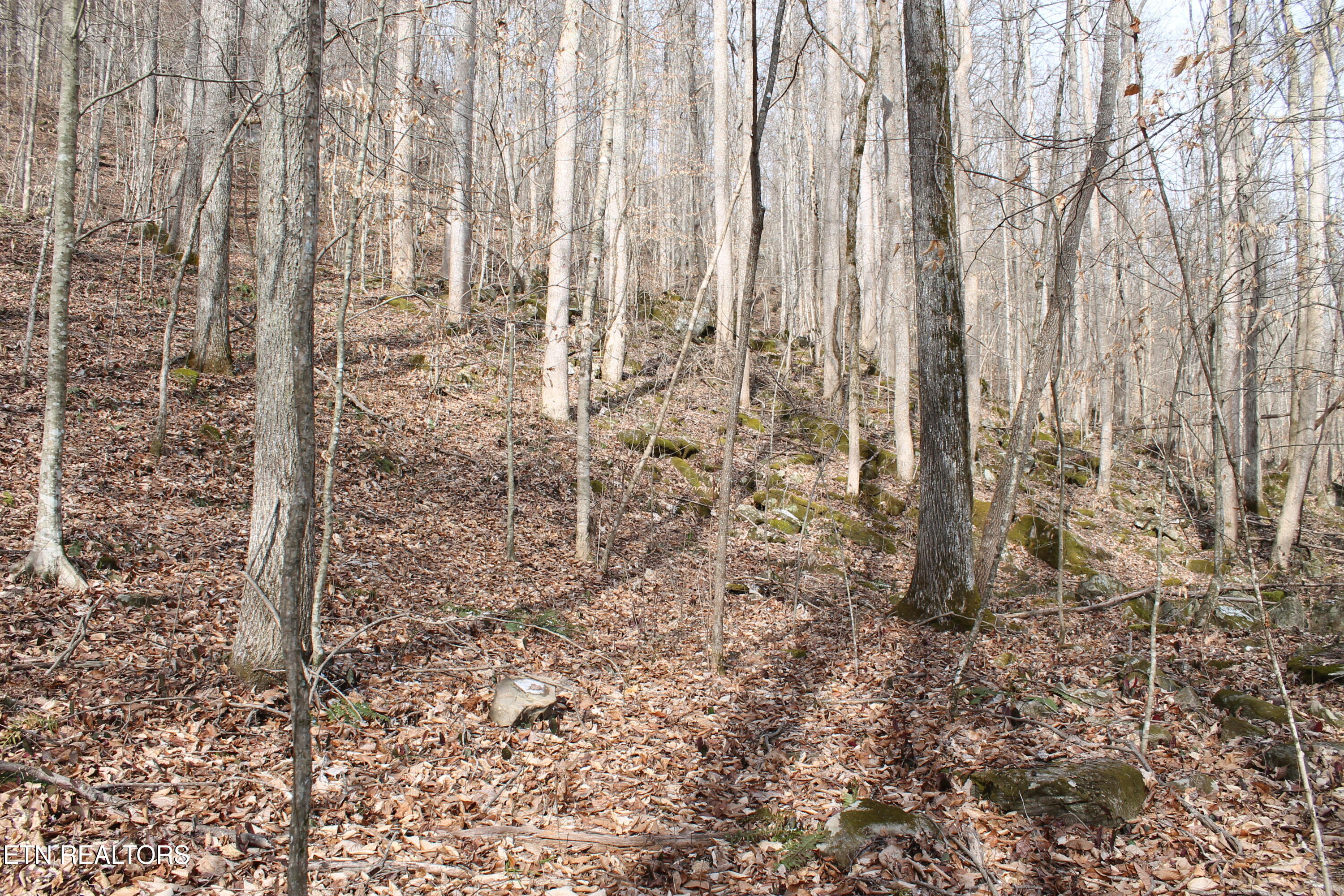 E Bobcat Lane Jamestown TN 38556