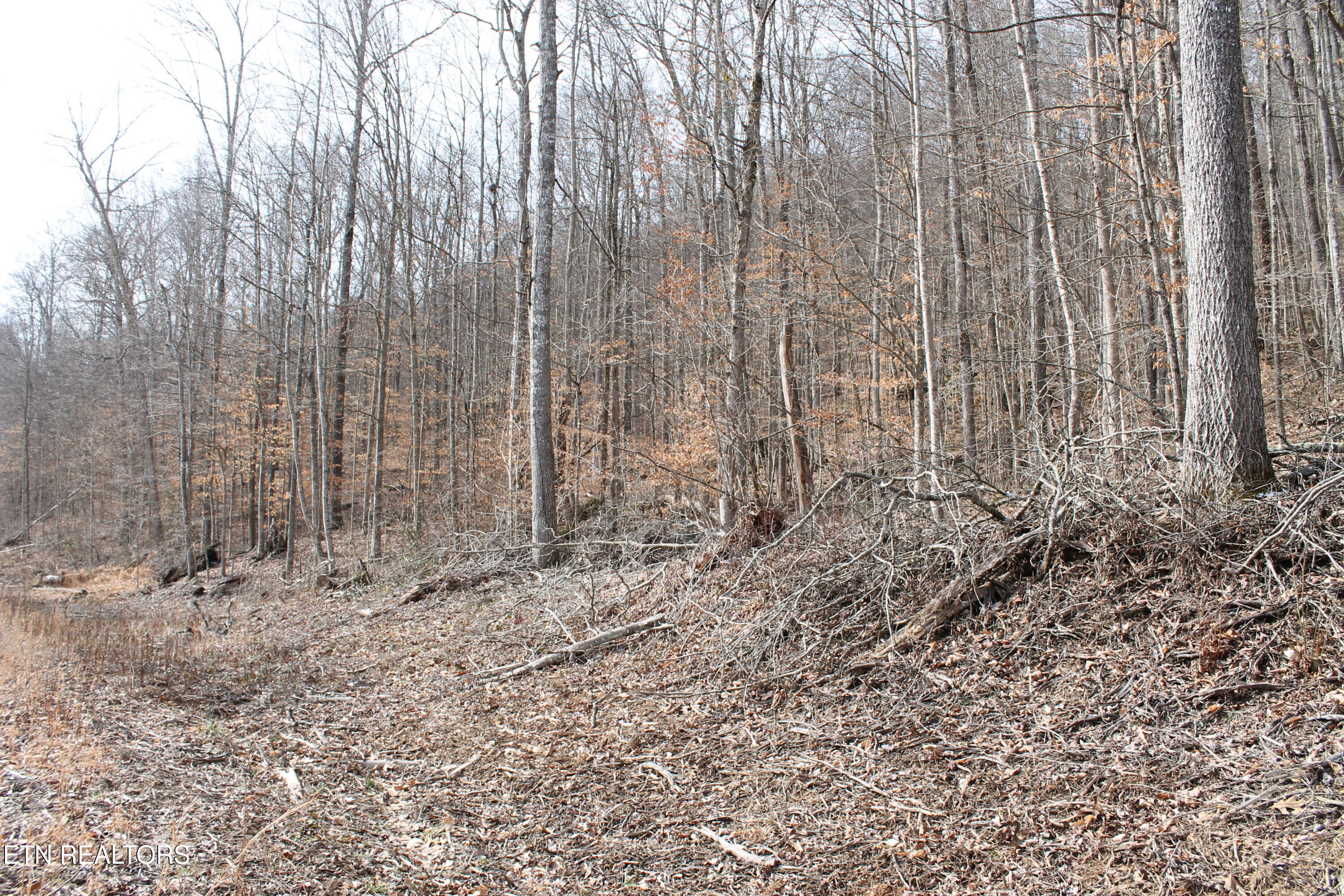 E Bobcat Lane Jamestown TN 38556