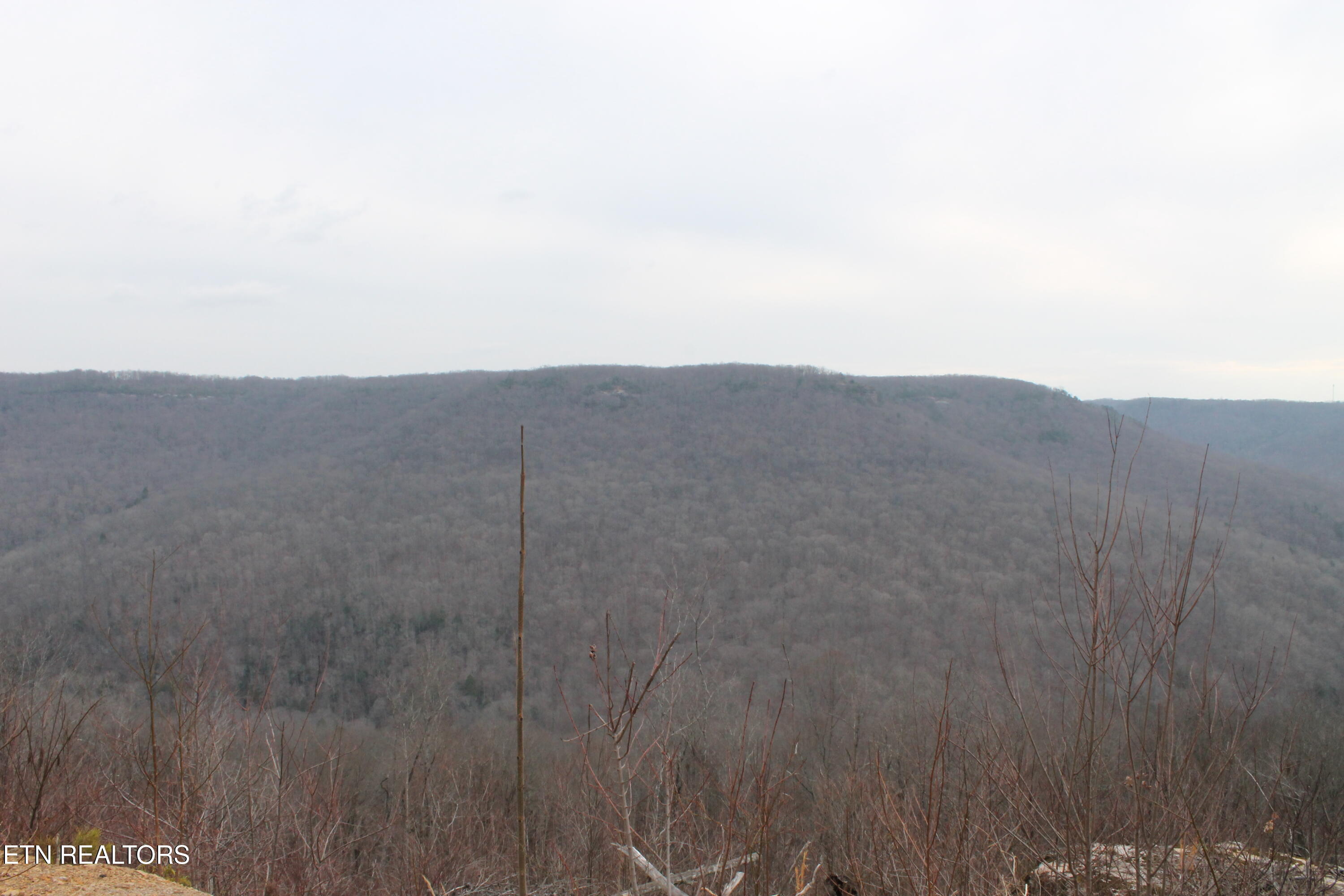 E Bobcat Lane Jamestown TN 38556