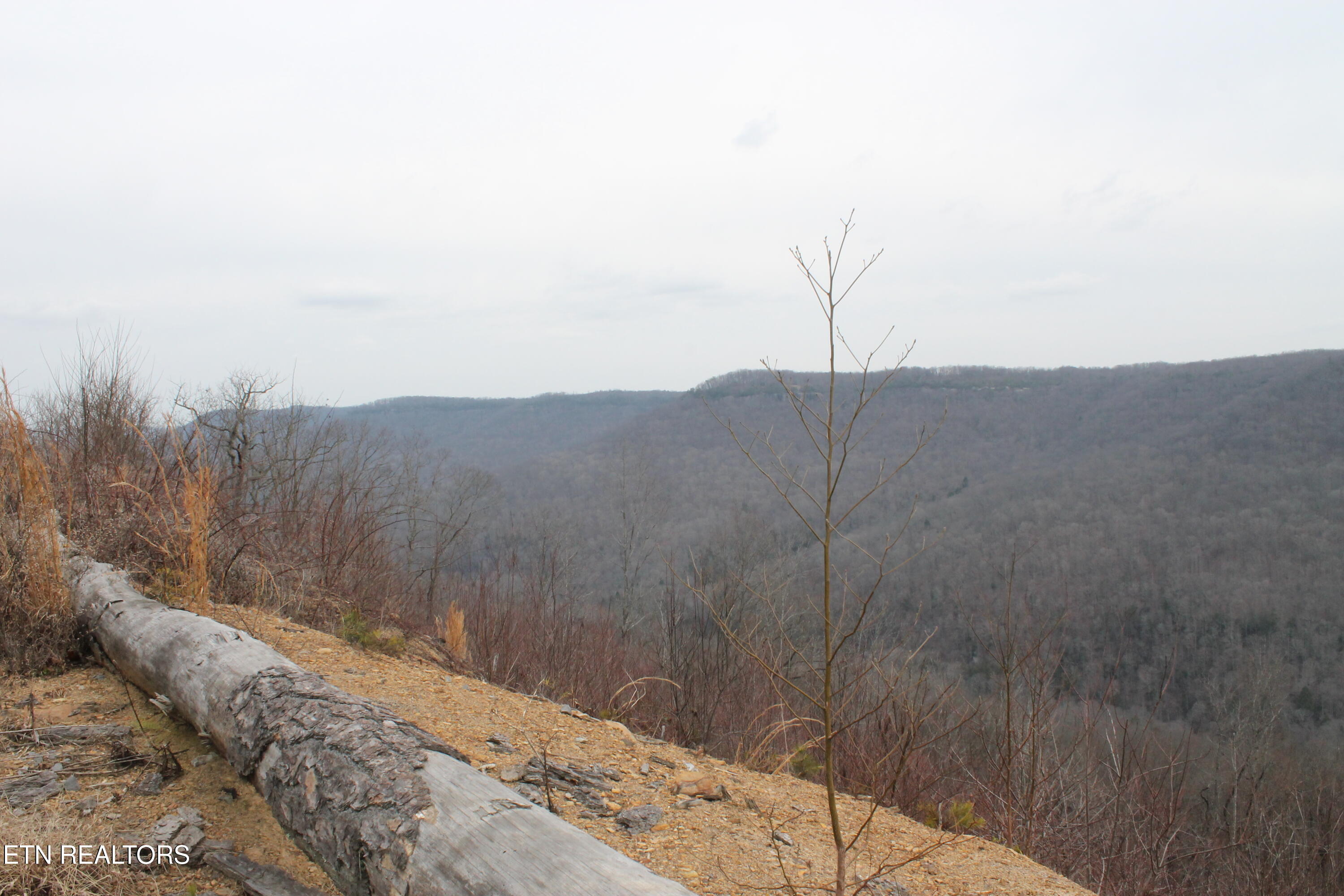 E Bobcat Lane Jamestown TN 38556