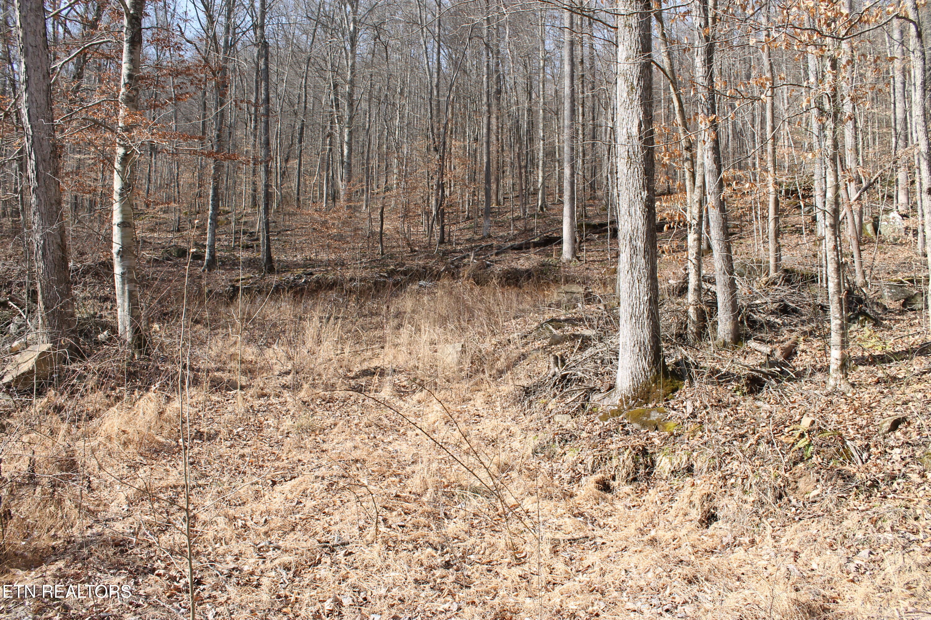 E Bobcat Lane Jamestown TN 38556