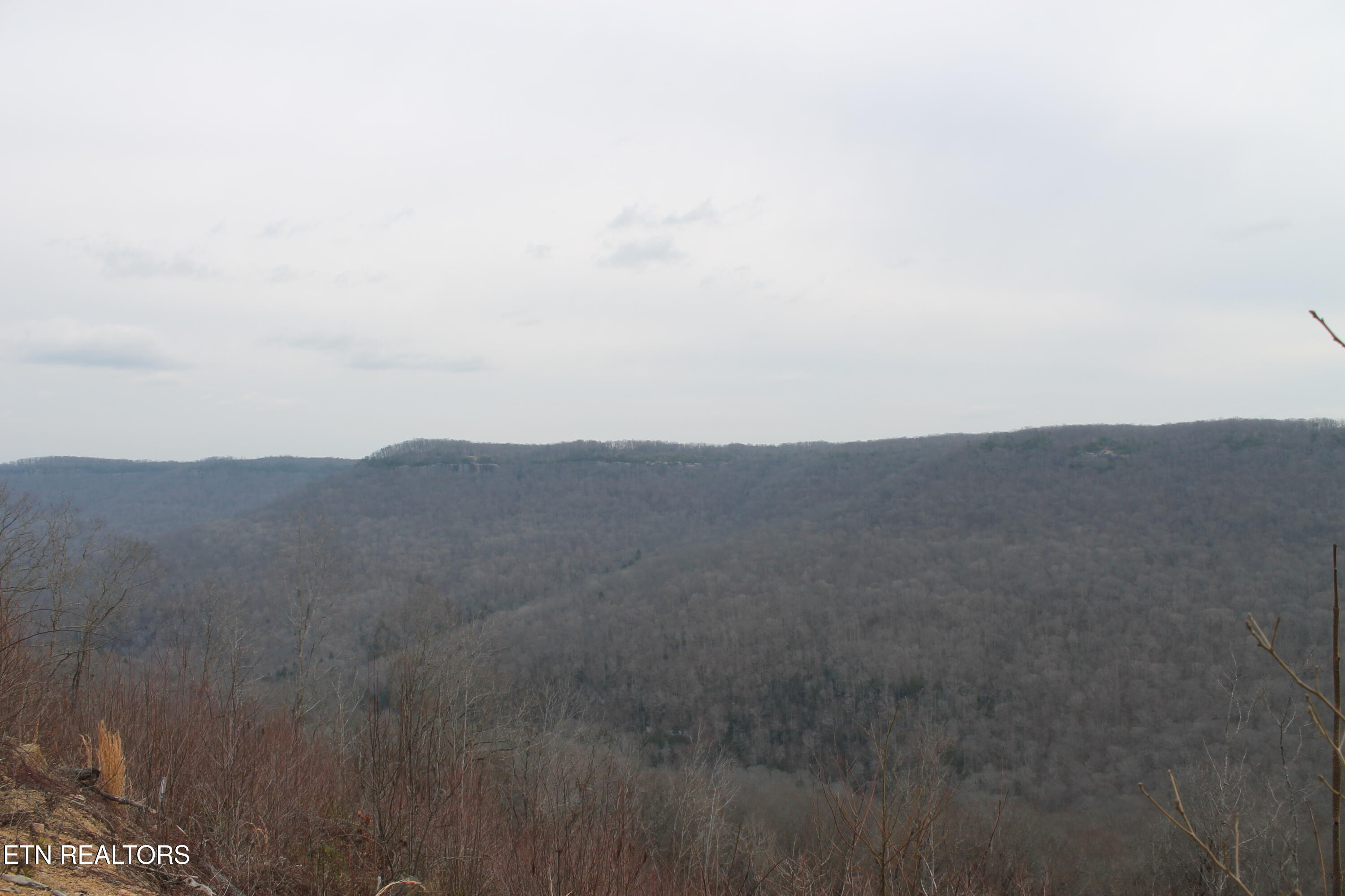 E Bobcat Lane Jamestown TN 38556