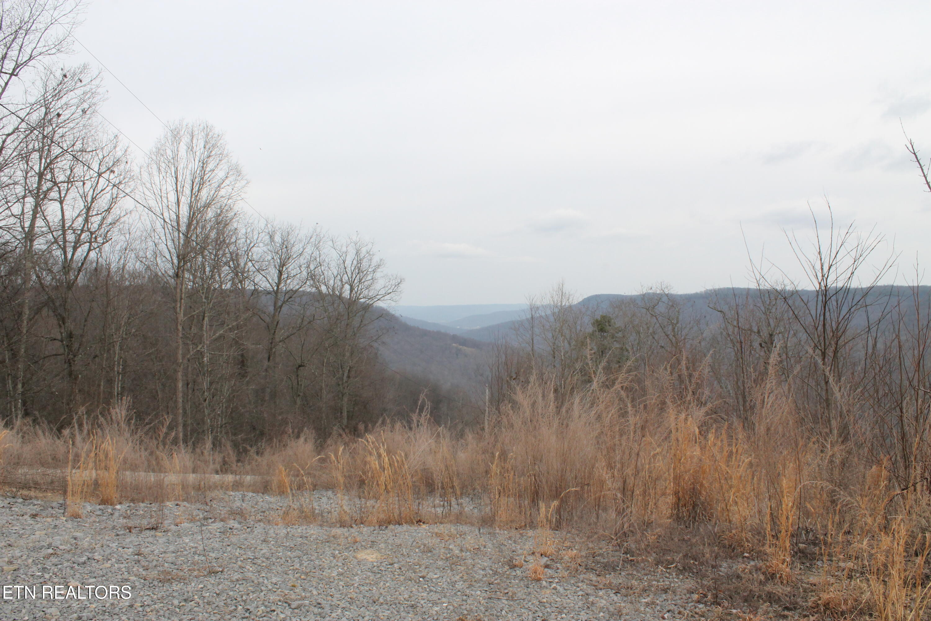 E Bobcat Lane Jamestown TN 38556