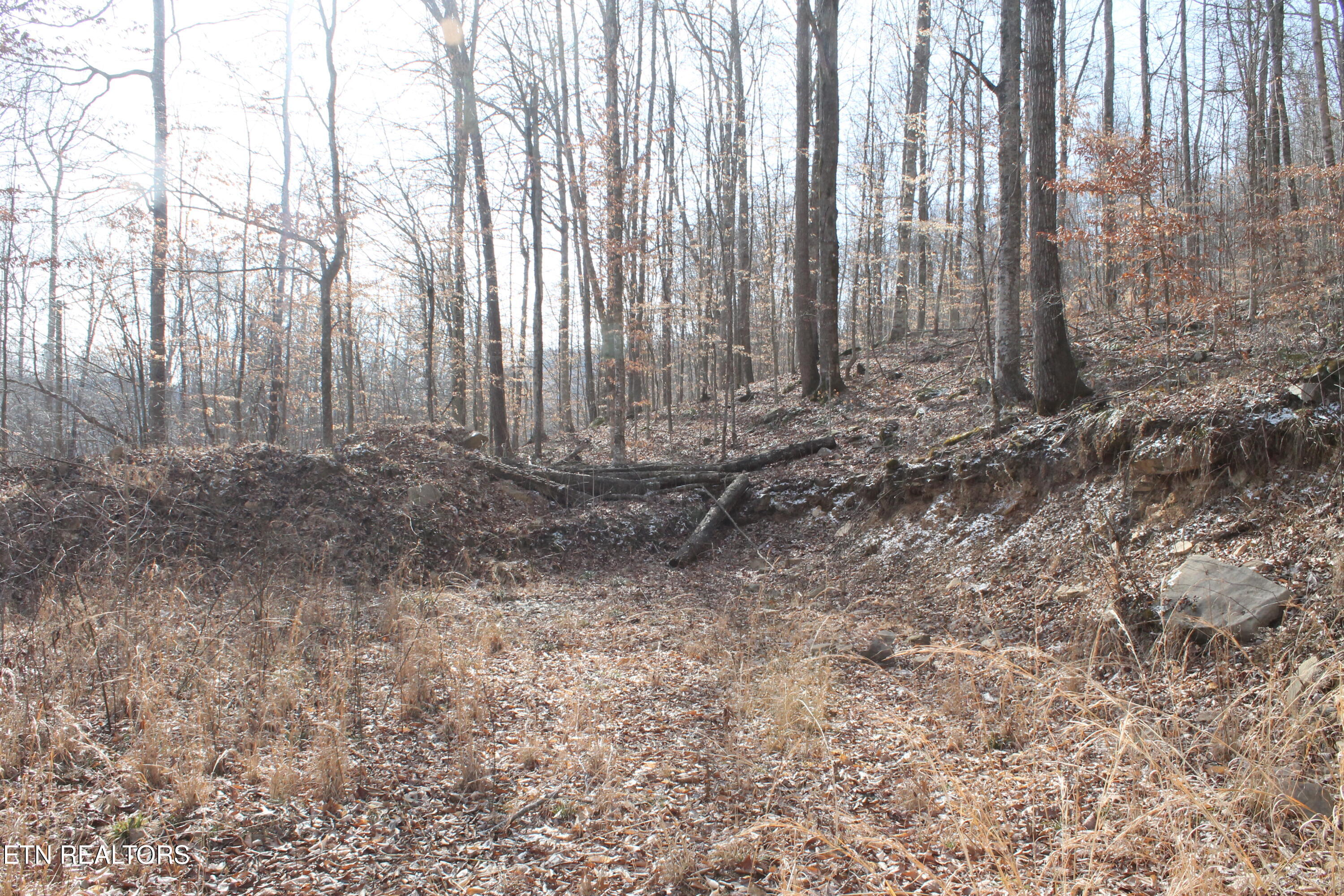 E Bobcat Lane Jamestown TN 38556