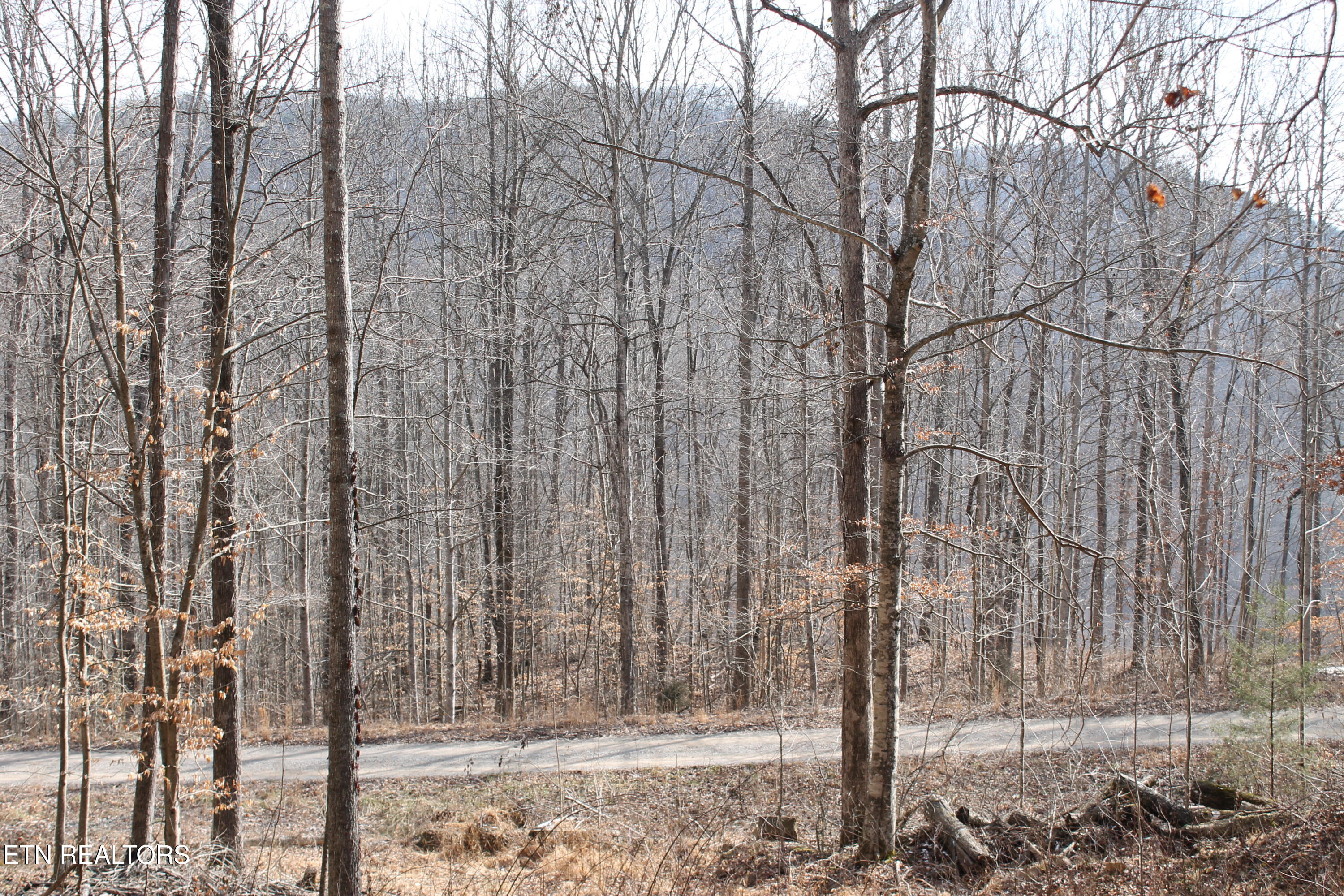 E Bobcat Lane Jamestown TN 38556