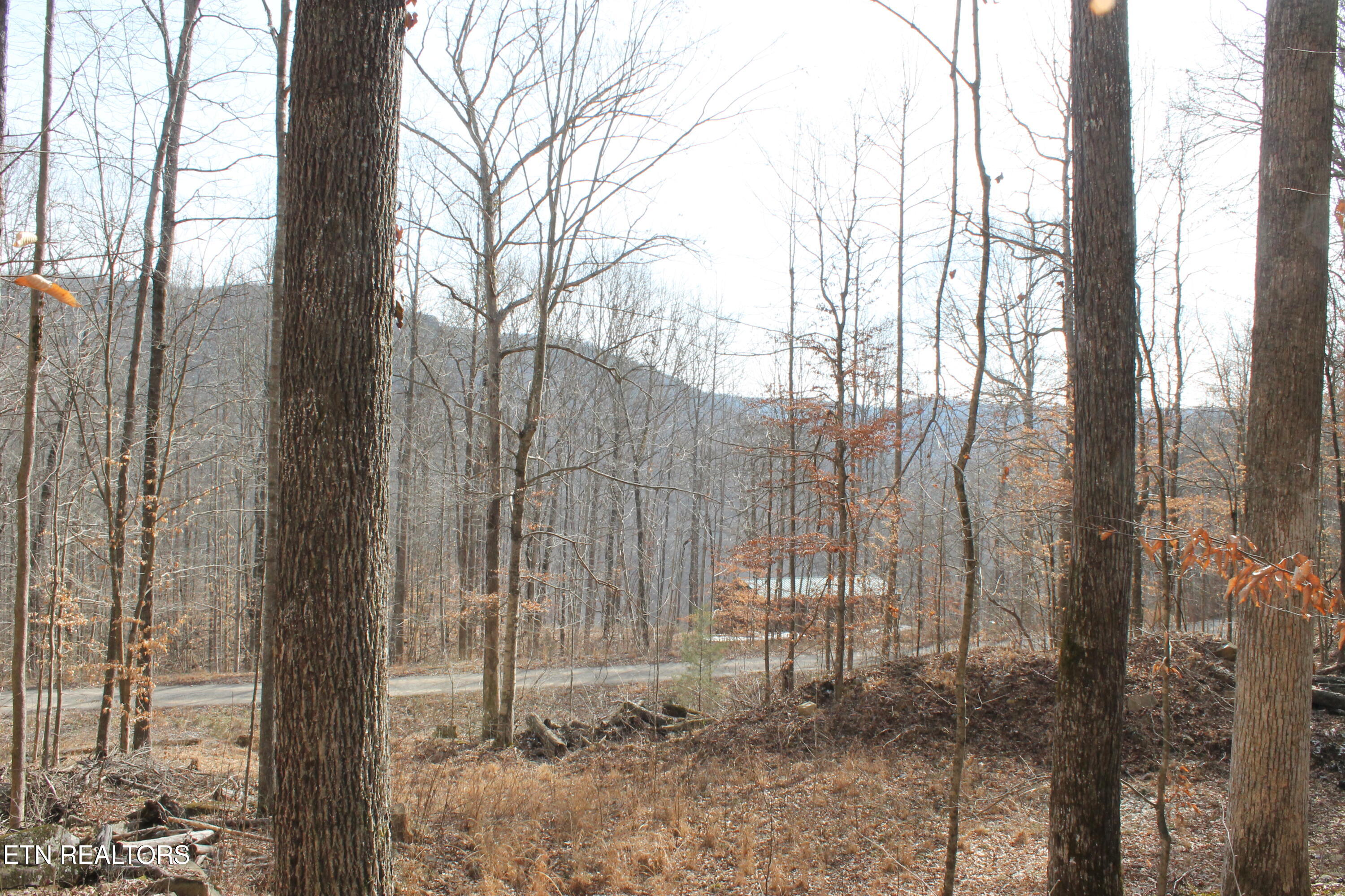 E Bobcat Lane Jamestown TN 38556