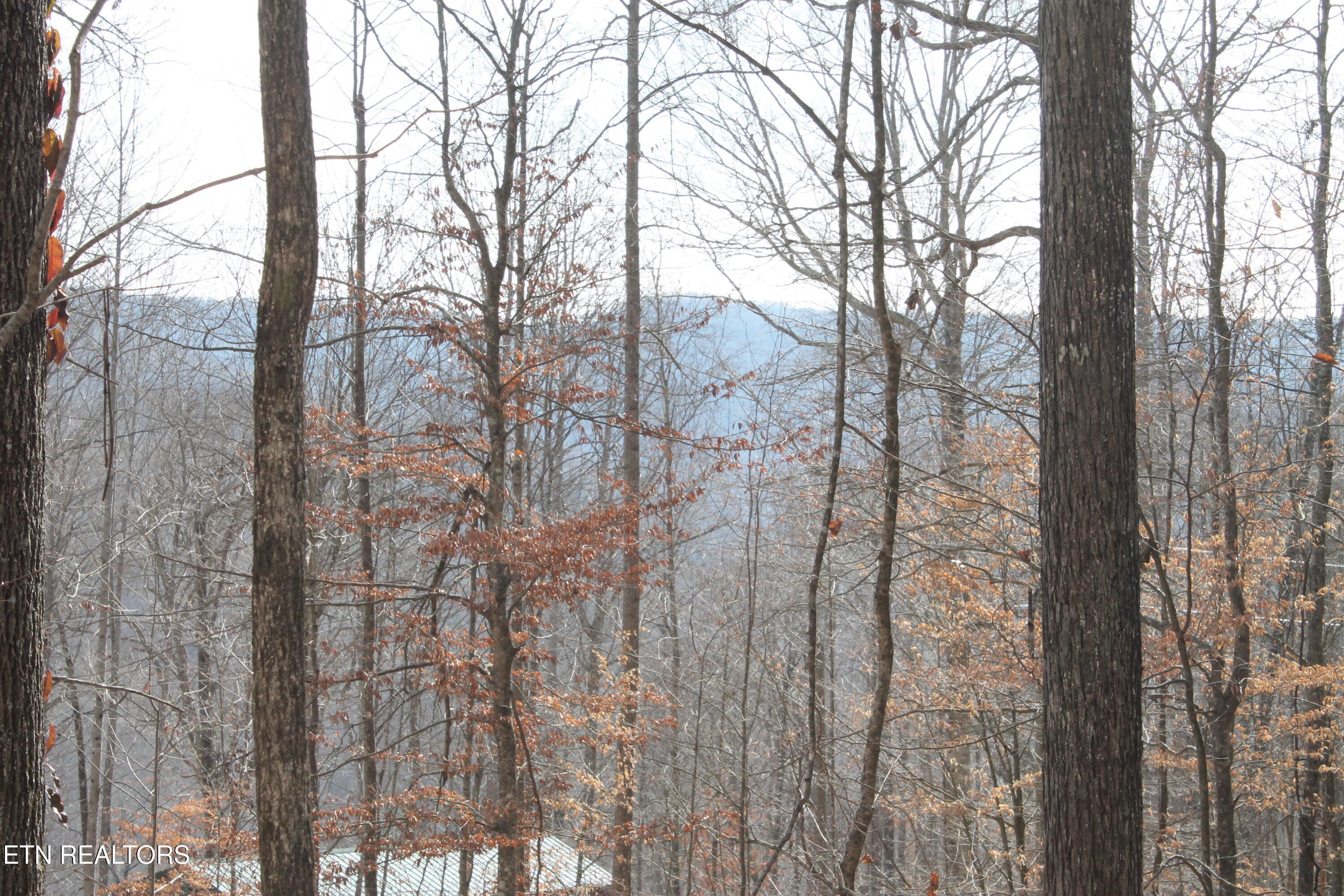 E Bobcat Lane Jamestown TN 38556