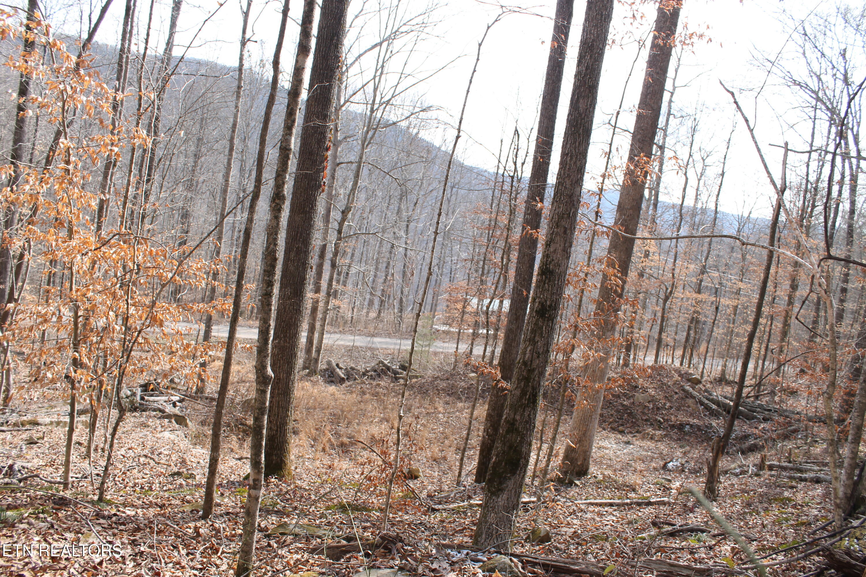 E Bobcat Lane Jamestown TN 38556