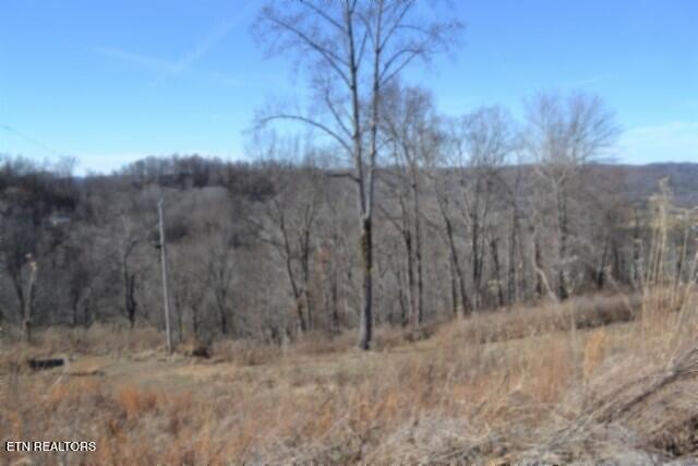5AC Schelley Road Gainesboro TN 38562