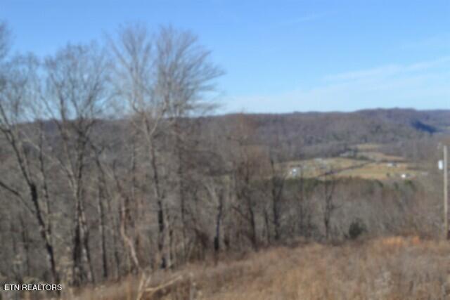 5AC Schelley Road Gainesboro TN 38562